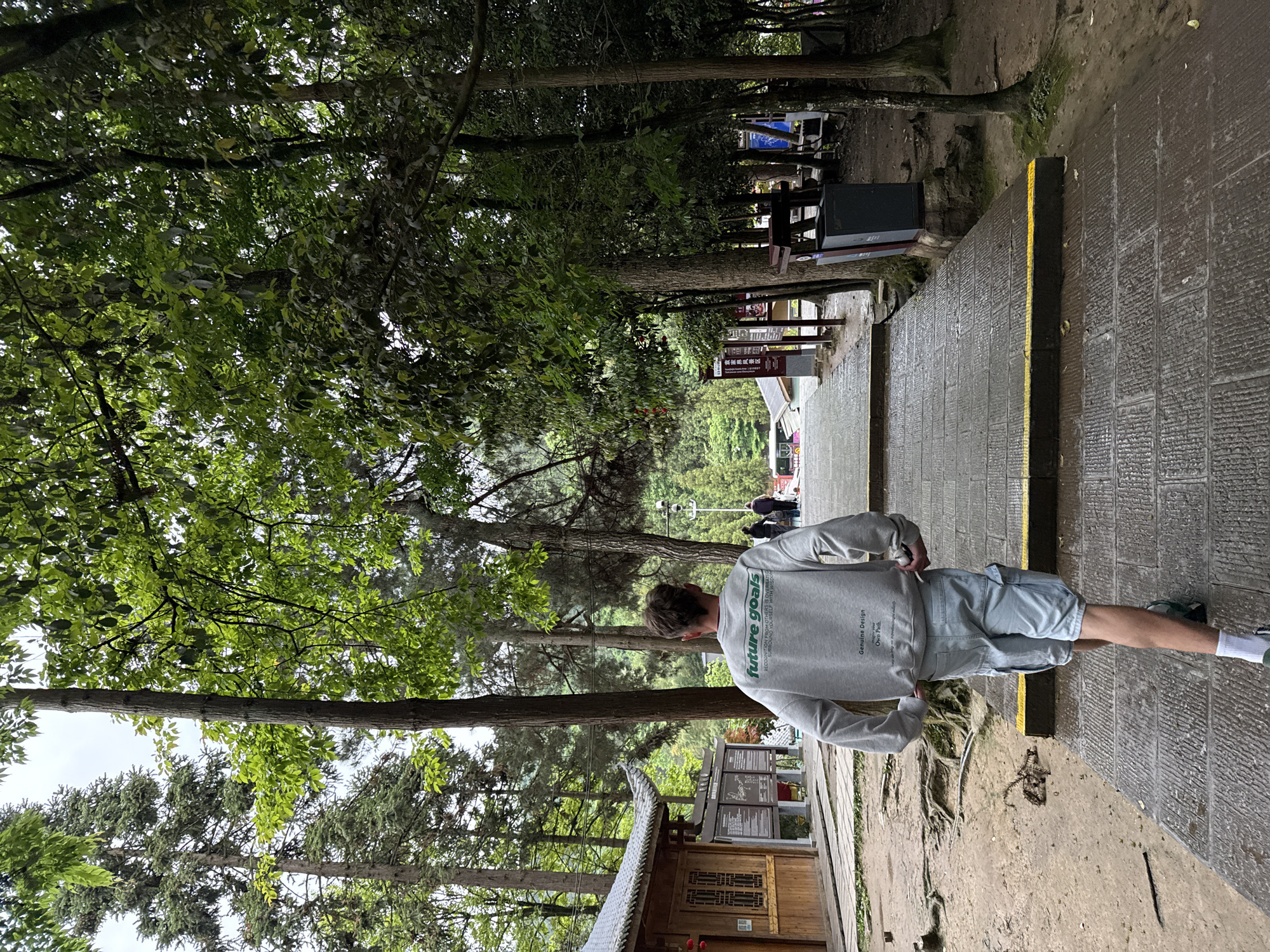 Man walks tree-lined stone pathway in Luoguta, China