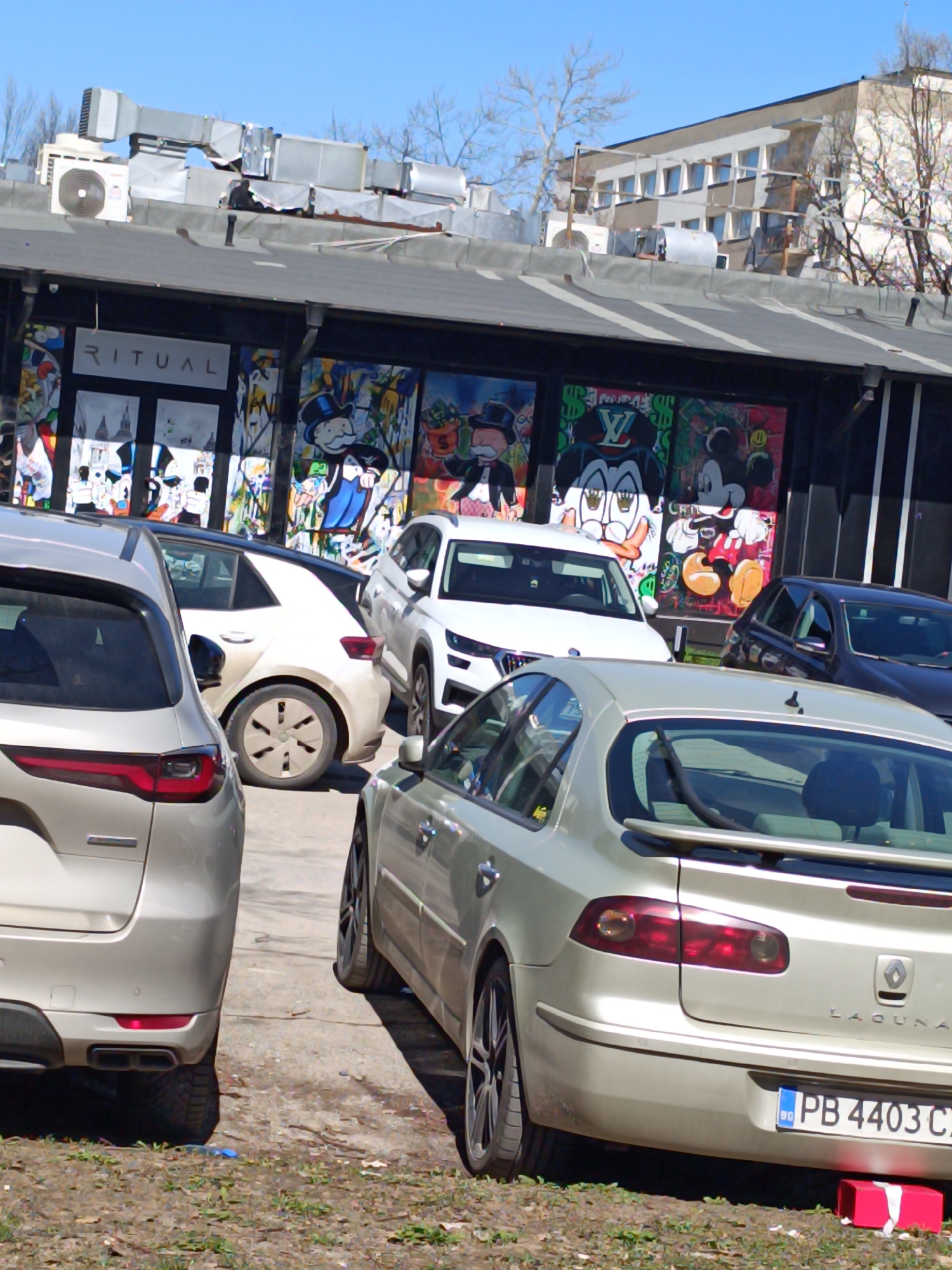 Person with brown handbag spotted on Sofia street