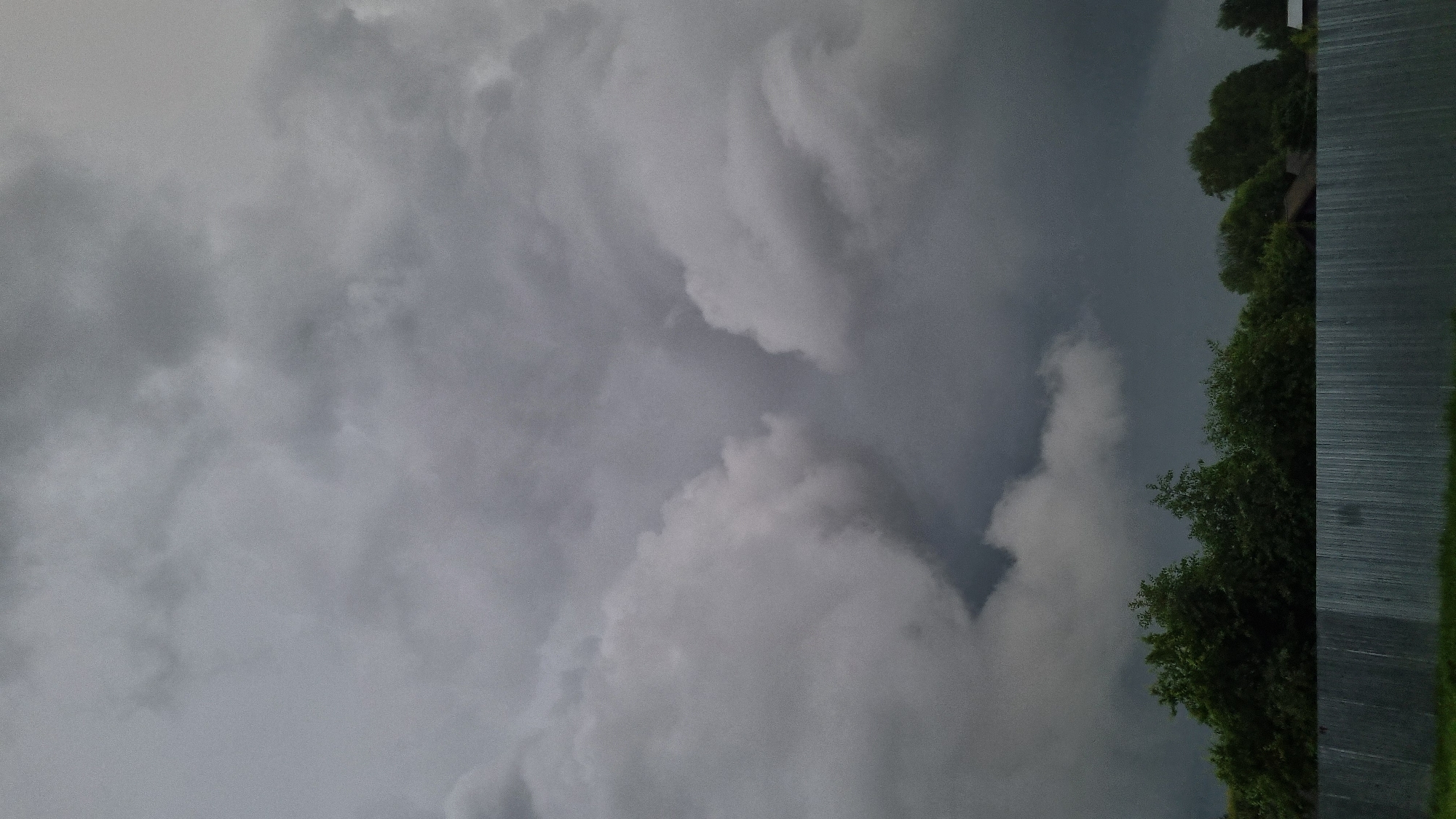 Rainy day in Vysokoe: stormy skies and a cat that doesn't care