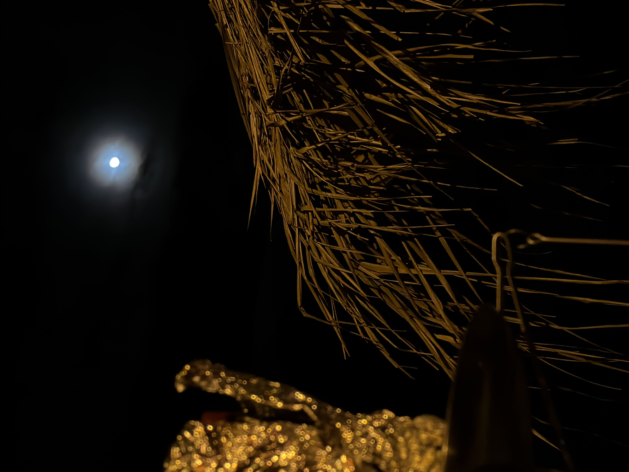 Moonlit evening captured at Arugam Bay beachside establishments