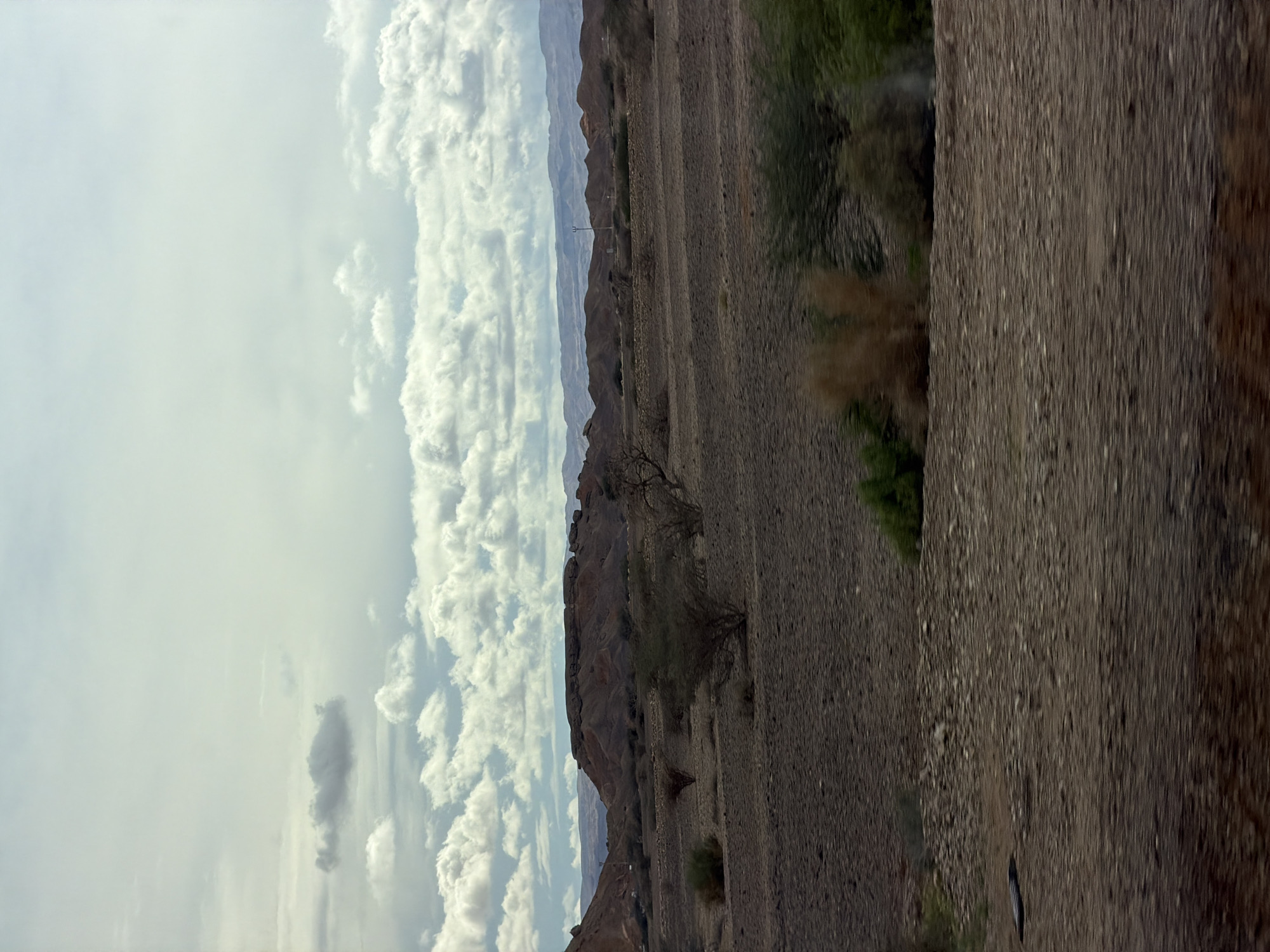 Desert landscape photography session in Israel's Tamar region