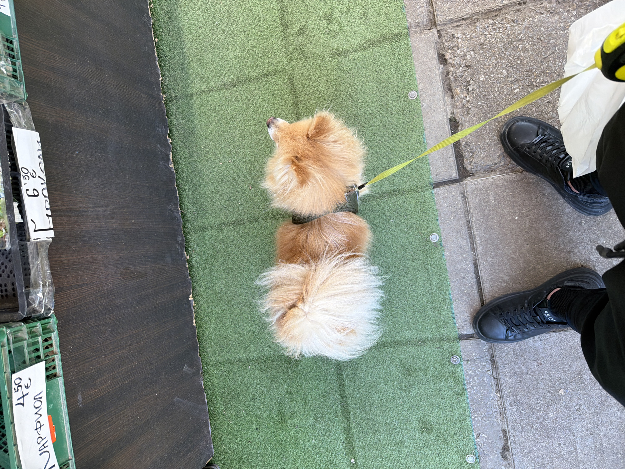 Two men spotted in different Sofia locations within minutes