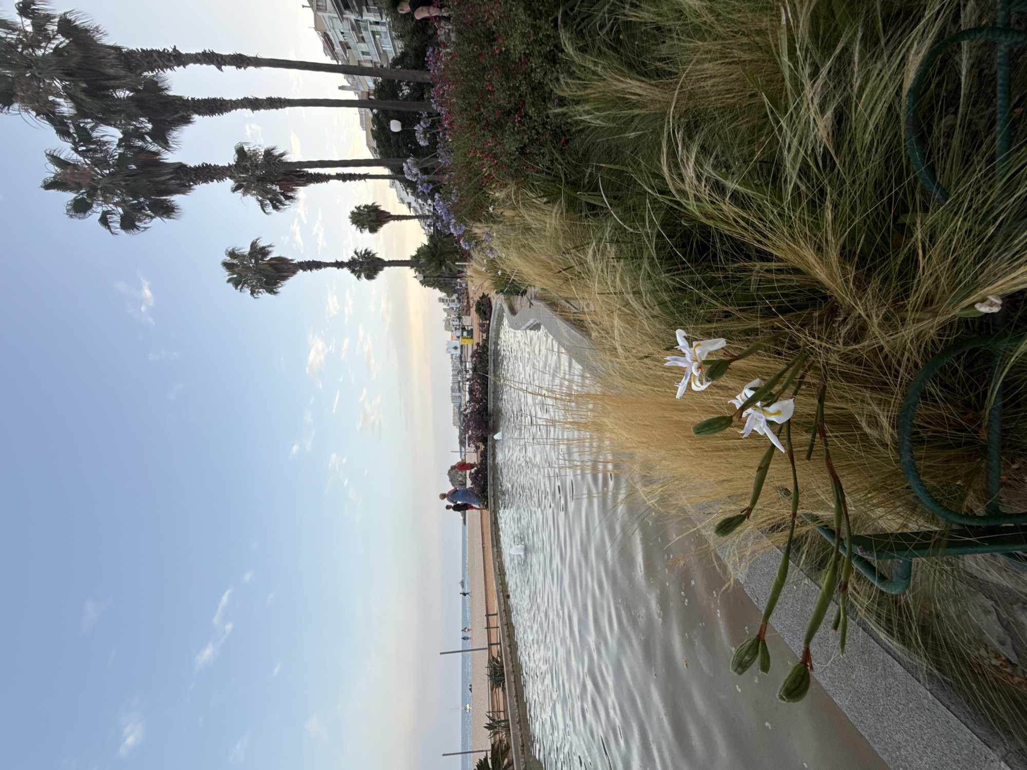 Live music, circle dancing, and summer scenes in coastal Blanes
