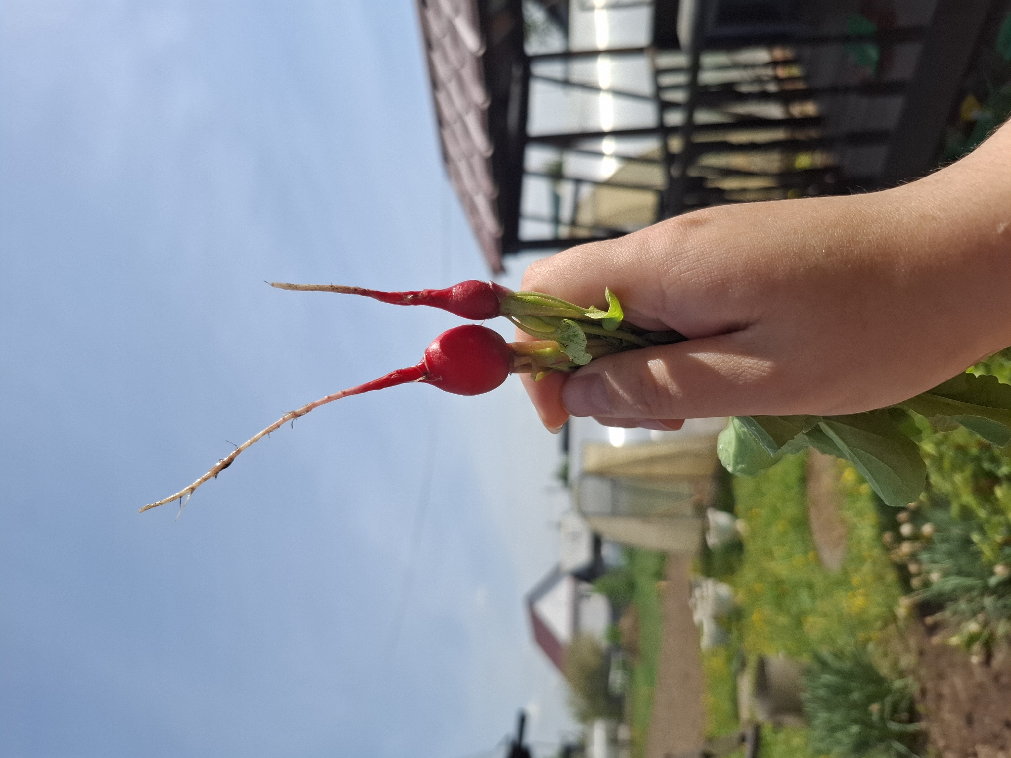 Spring morning activities captured across rural Амзя, Russia
