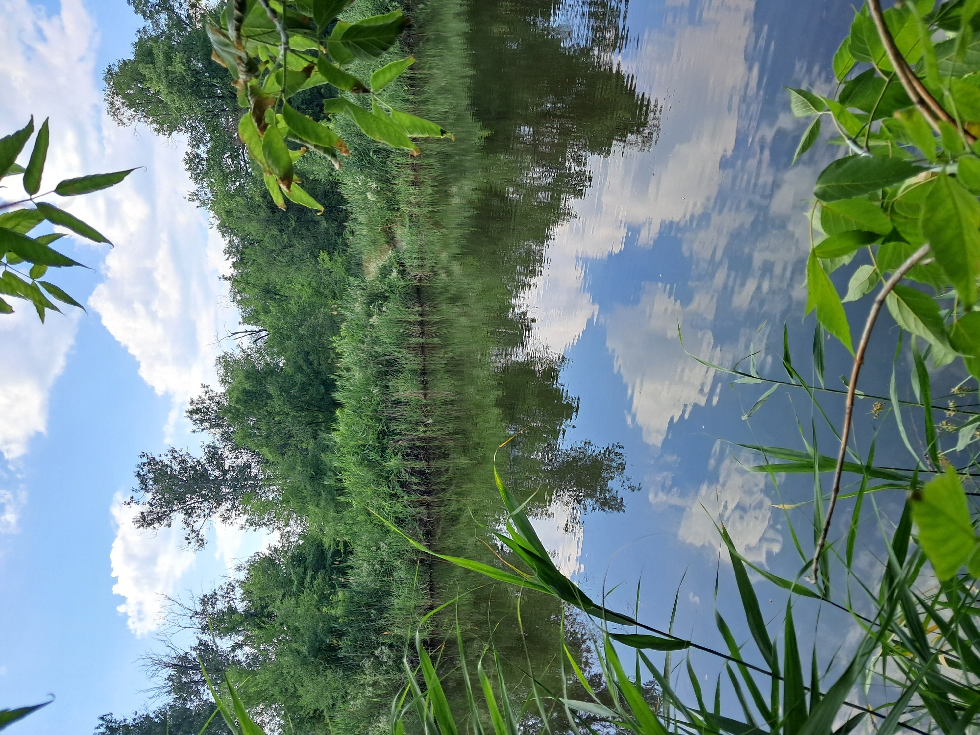 Still water and green banks along a Ukrainian riverside