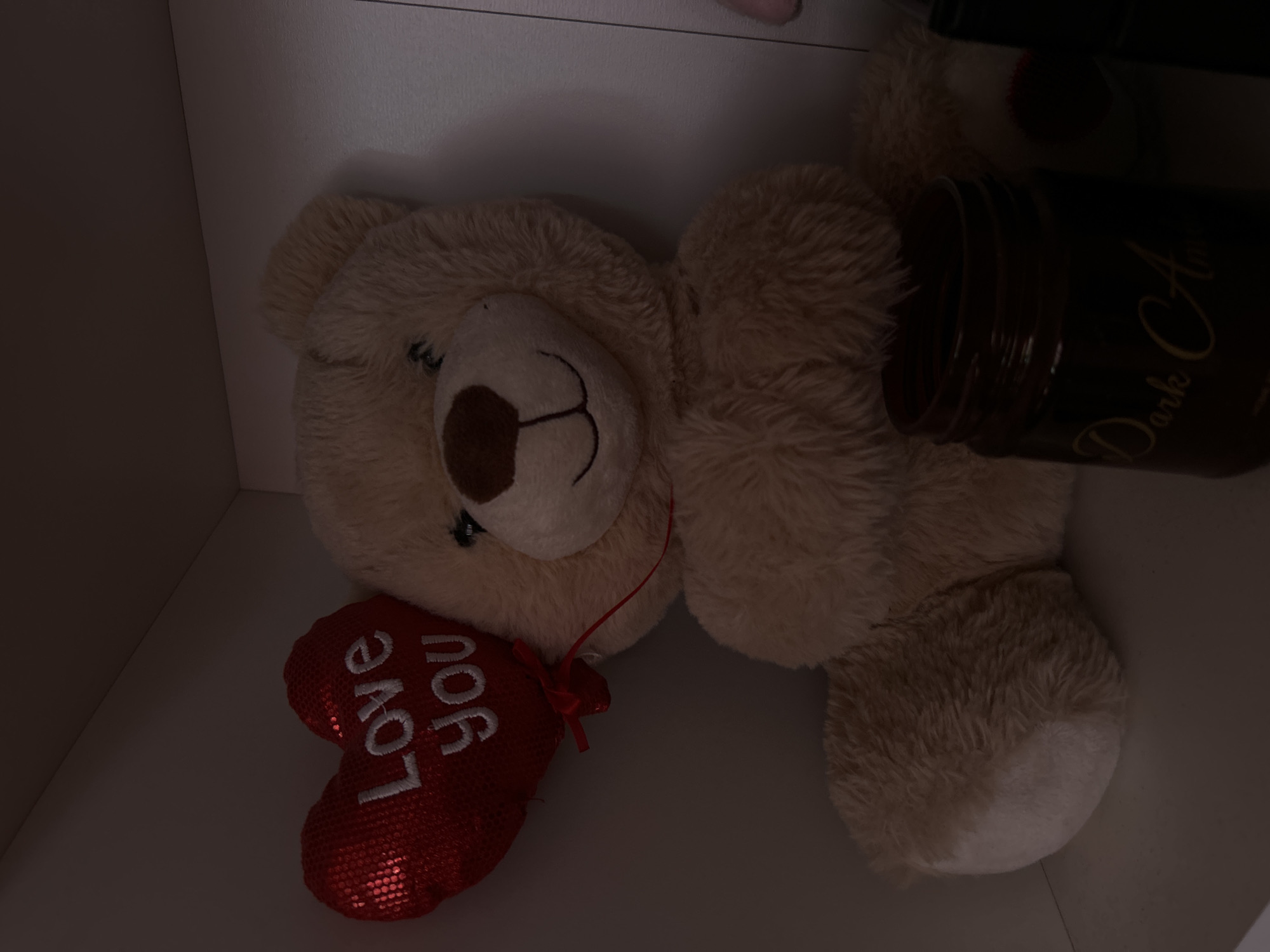 Indoor items photographed in Vidin: teddy bear, candle, wine