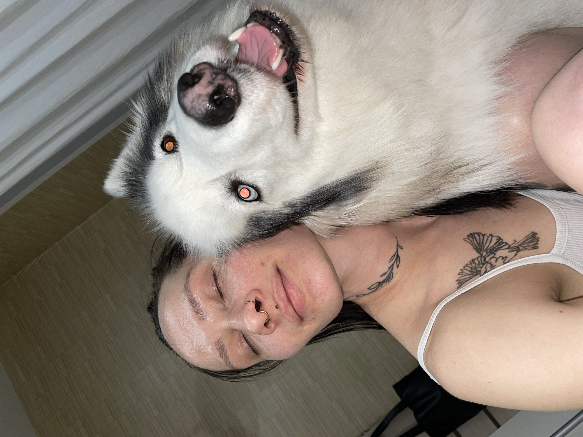 Woman takes selfies with dressed dogs in Izhevsk elevator