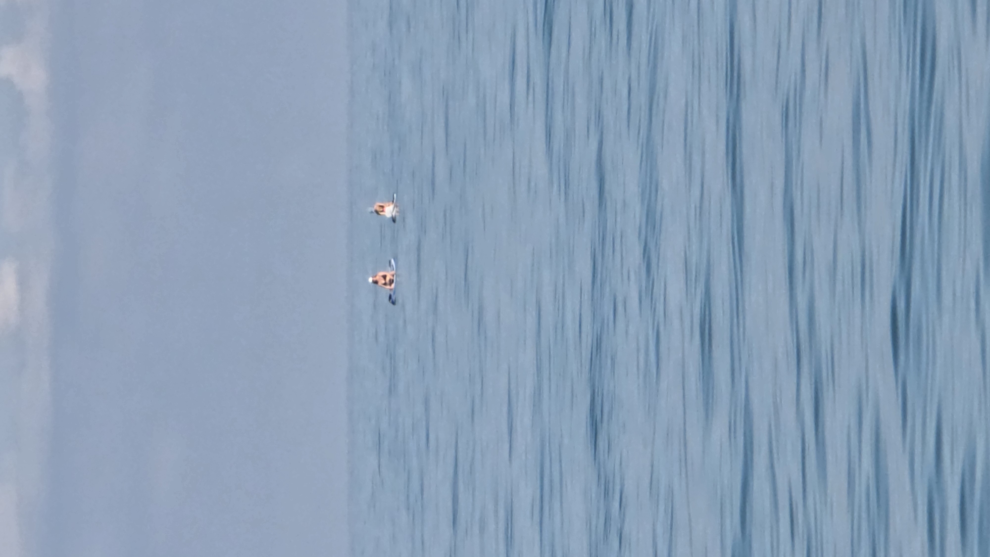 Batumi beach scene: paddleboarding, loungers, and hillside architecture