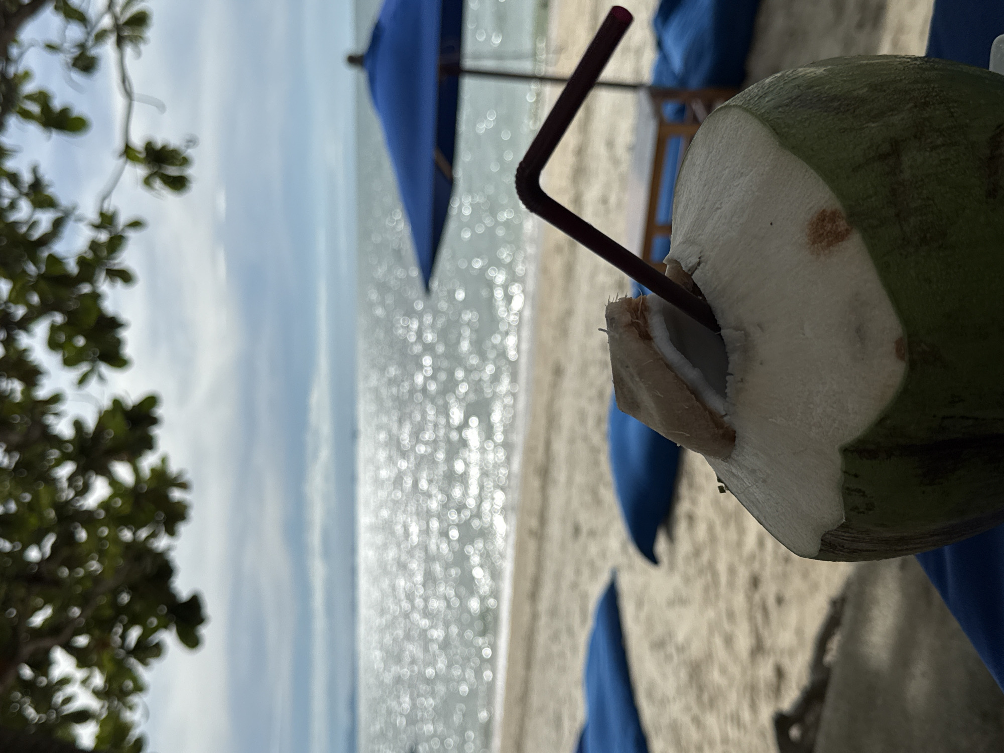 Coconut drink captured on Baan Tai beach, Thailand