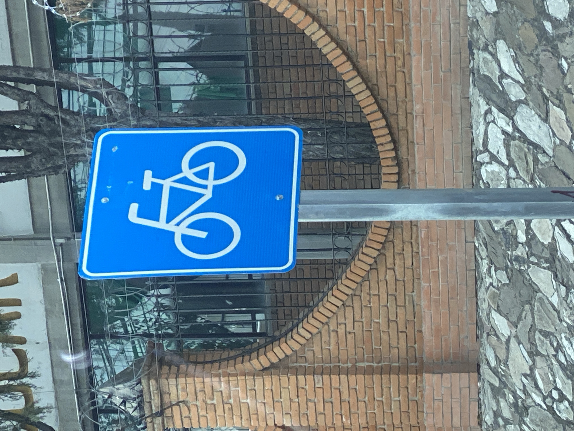 Urban scenes documented in Puebla include cycling signage, car interior