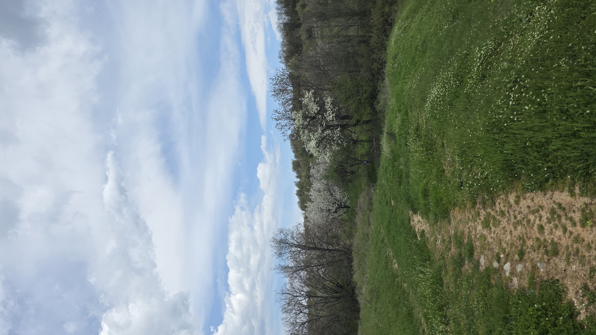 Spring pastoral scenes documented in rural Drenkovo, Bulgaria