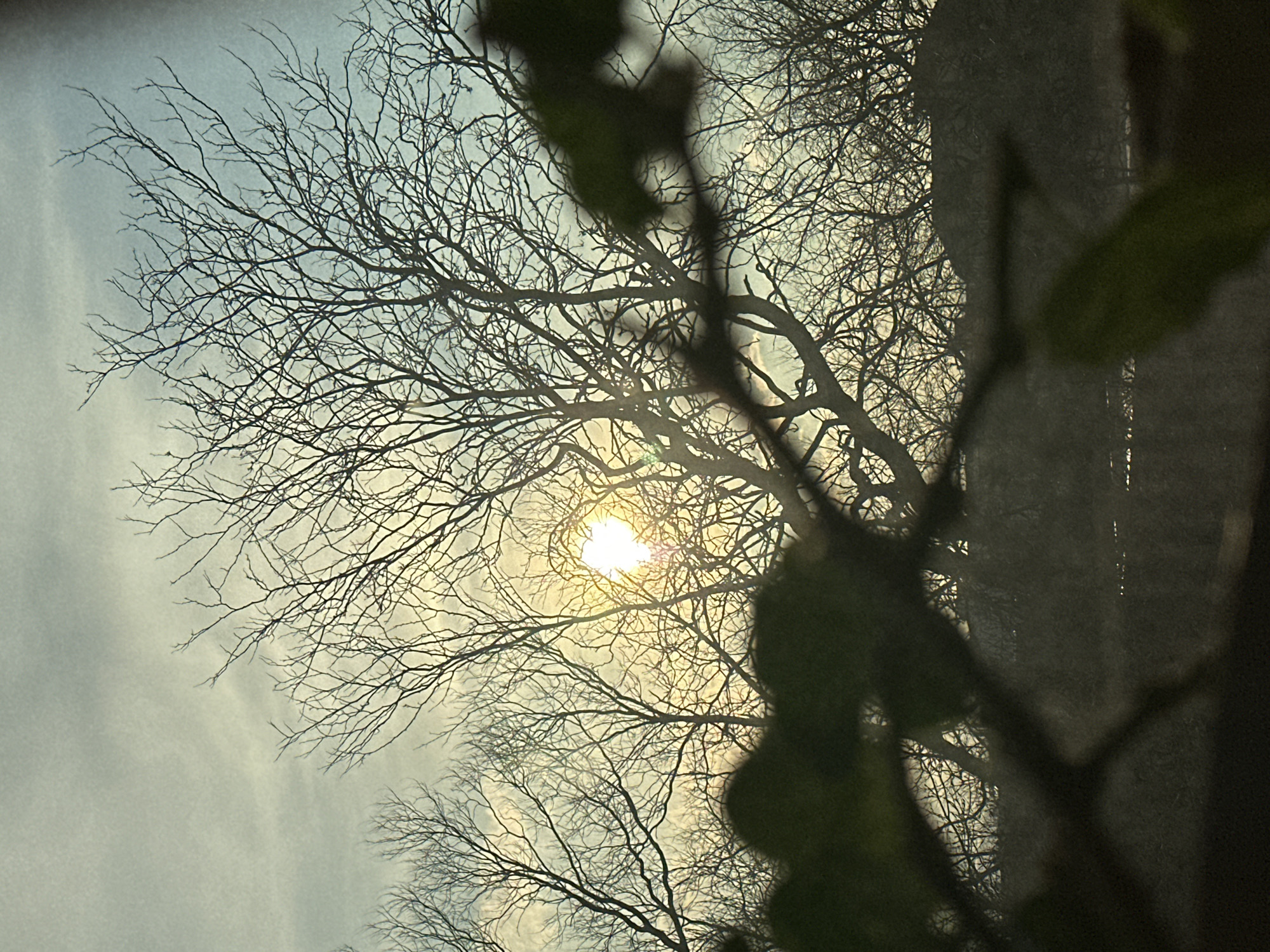 Disparate images captured in Varna show nature scene, motivational text