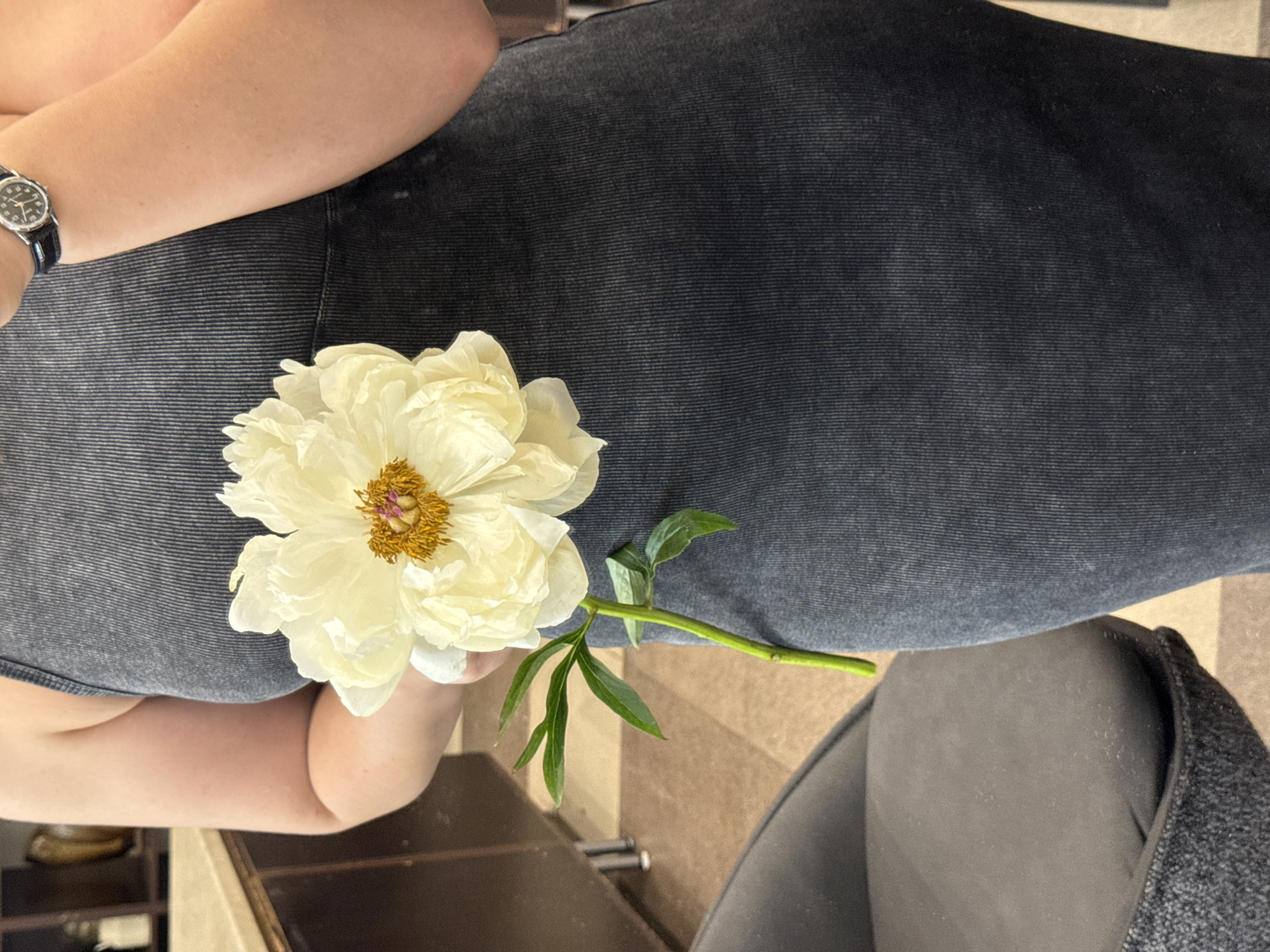 Fresh peony bouquet from BANKETKA, multiple angles