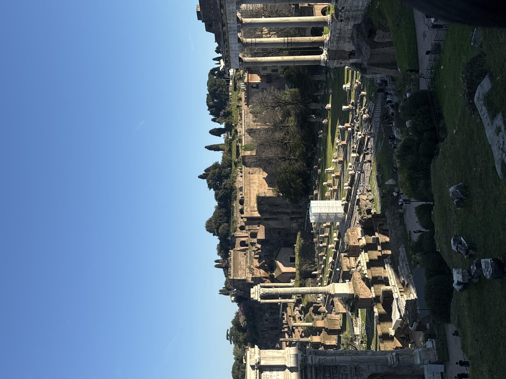 Woman rests near blooming wisteria at Roman Forum