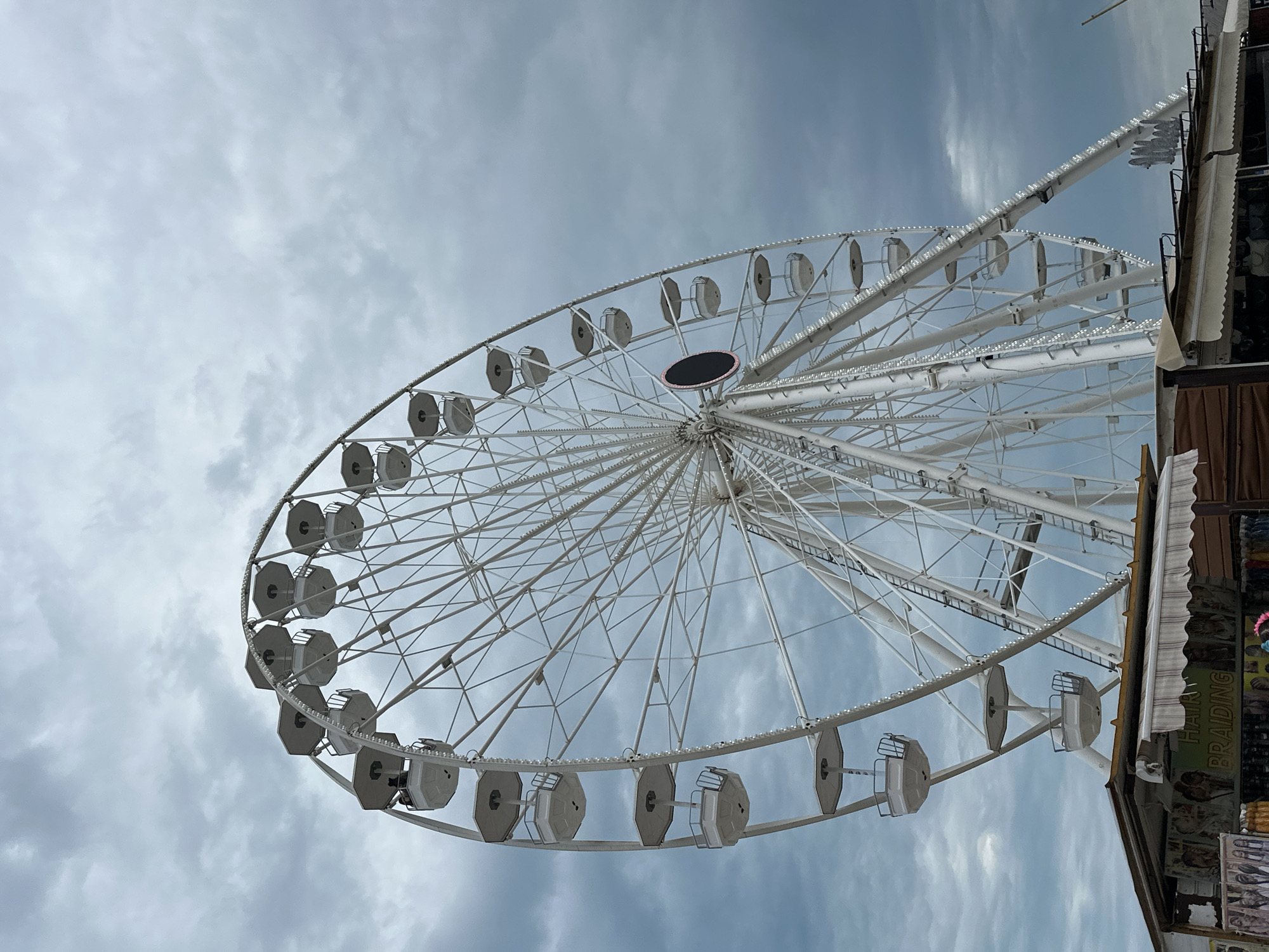 Ferris wheel and exotic bird display spotted in Nesebar