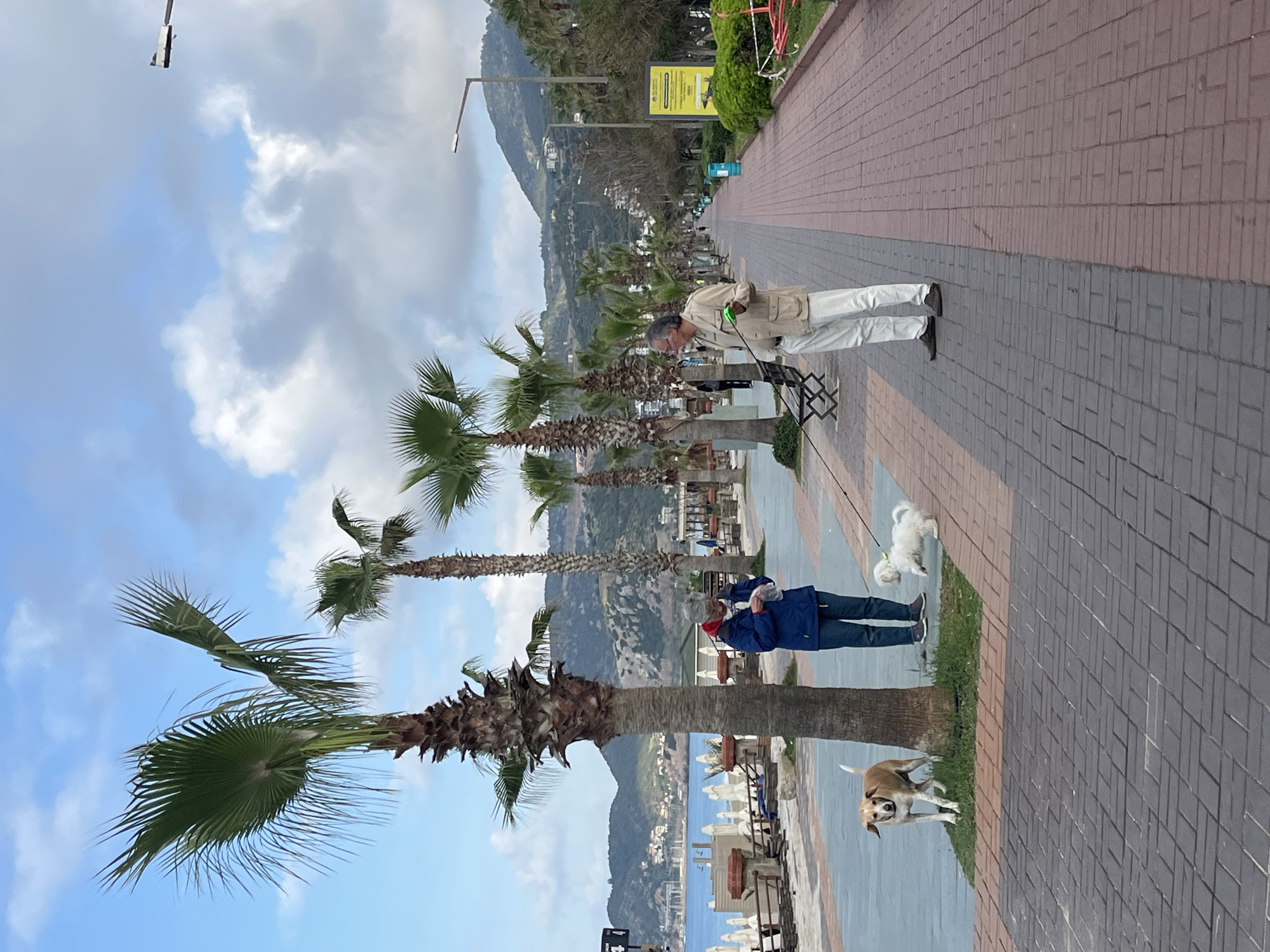 Early morning scenes captured along Alanya Turkey waterfront promenade