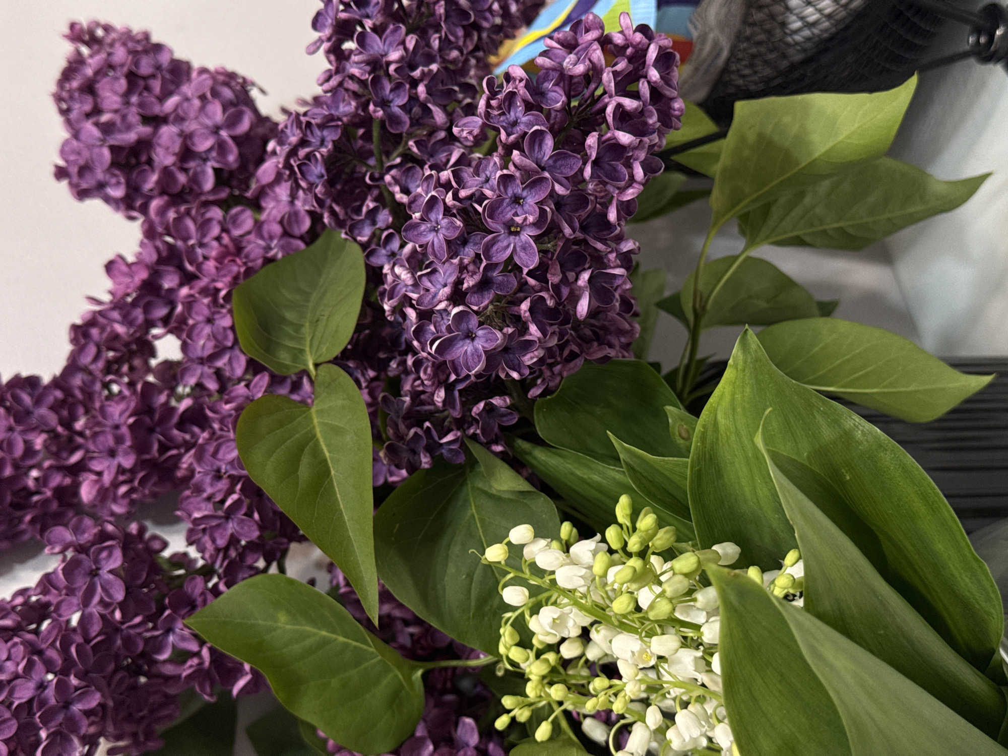Spring flowers arranged indoors, documented over 49 minutes
