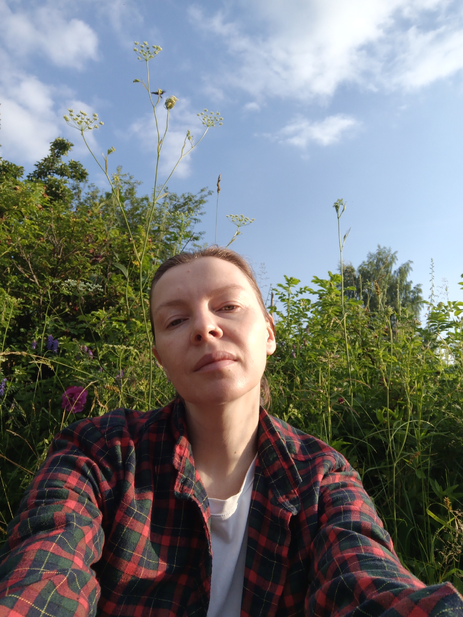 A quiet summer morning in a Chaikovsky backyard garden