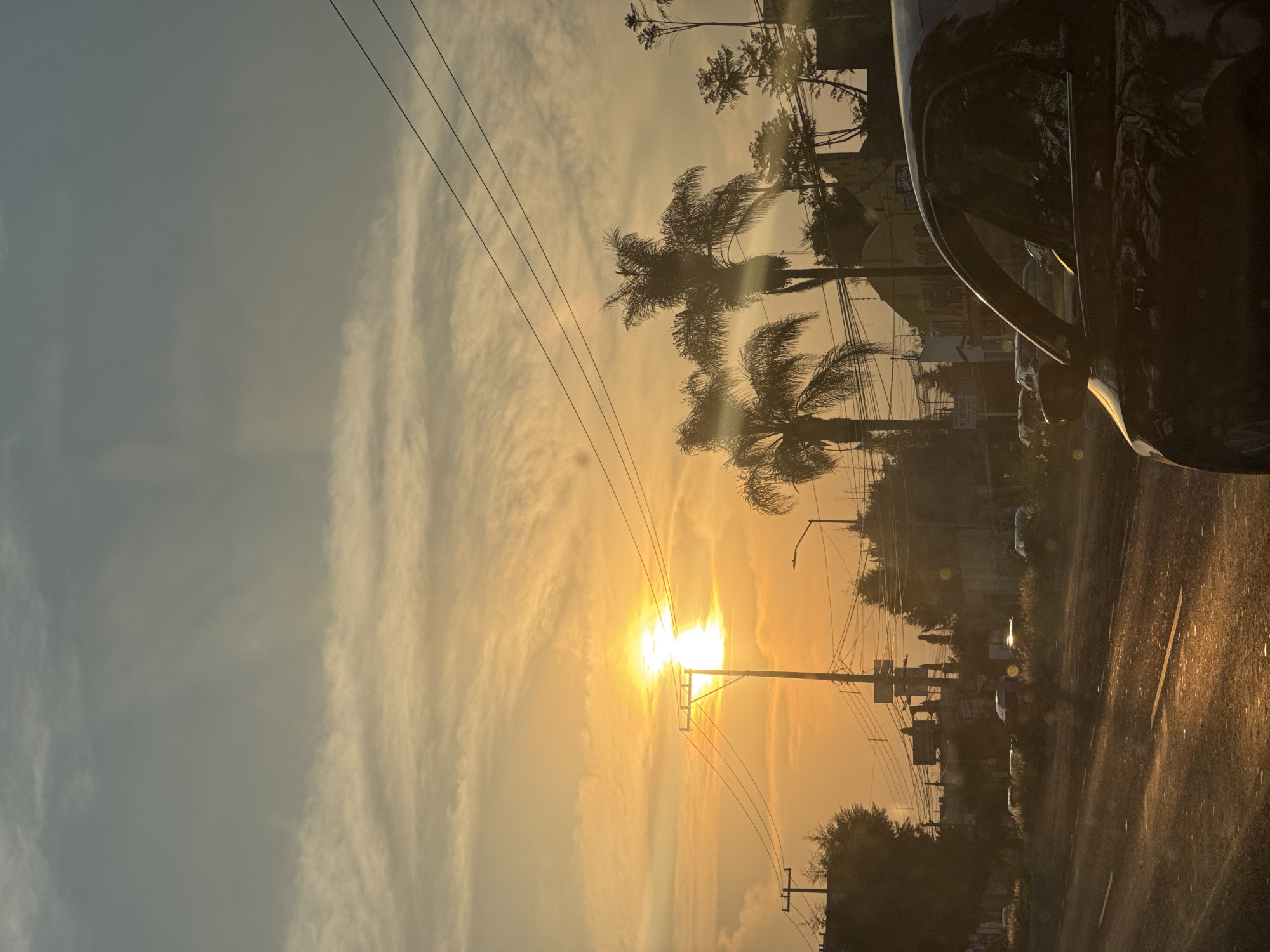 Vibrant sunset observed through palm trees in Puebla, Mexico