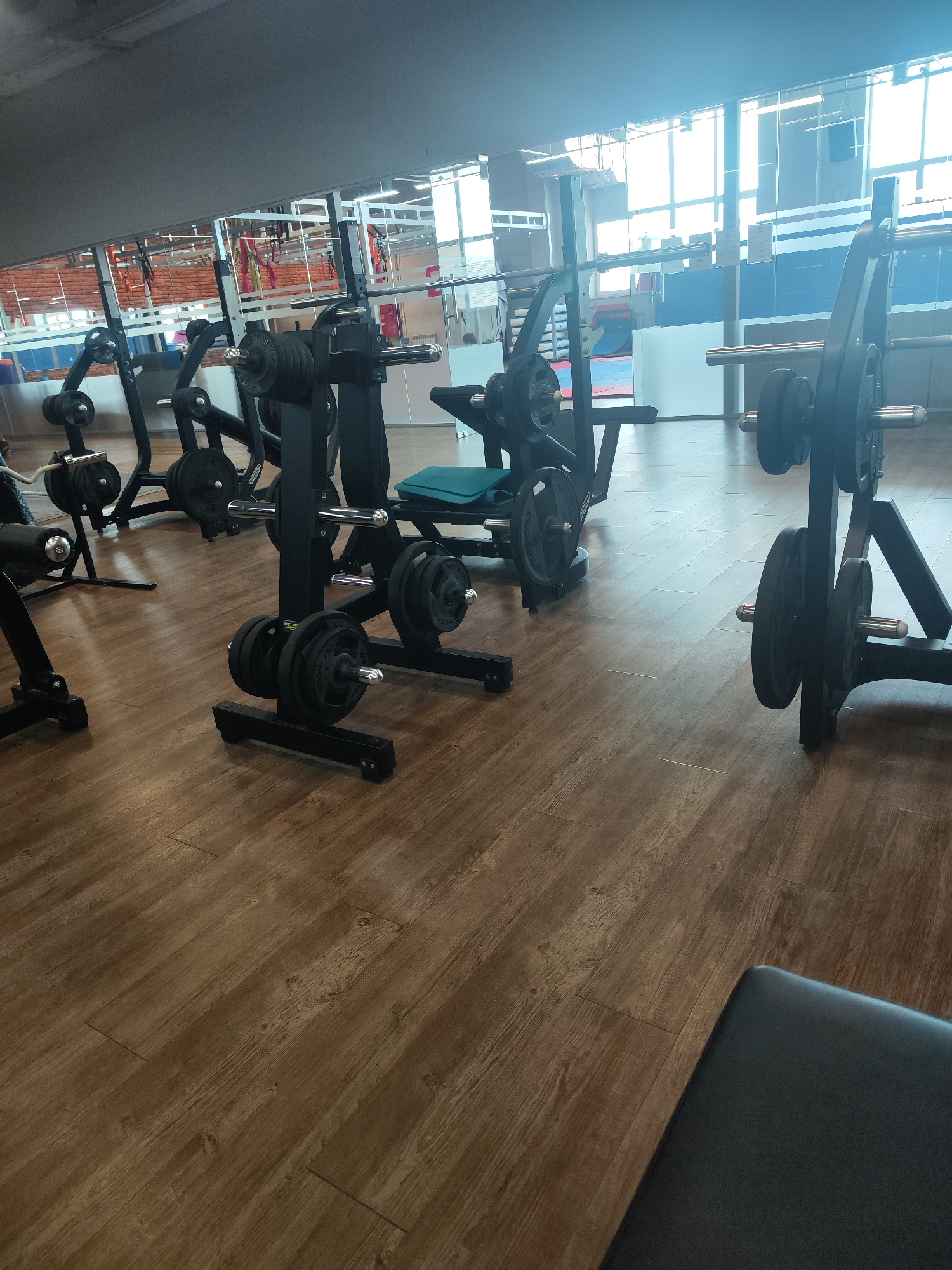 Morning scenes from Chaikovsky: fitness center, pet, winter items