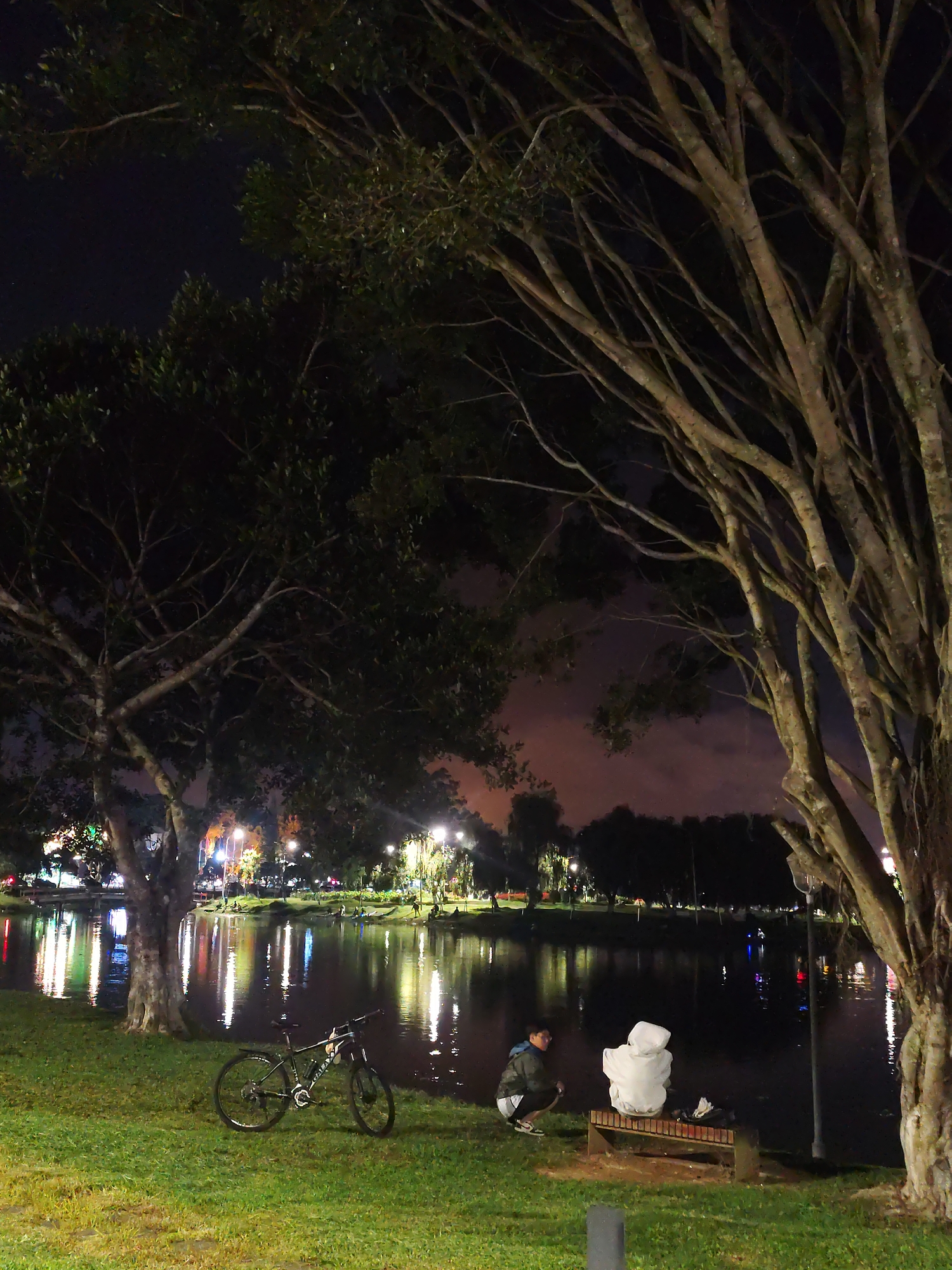 Bicycle rests by illuminated Xuan Huong Lake in Da Lat