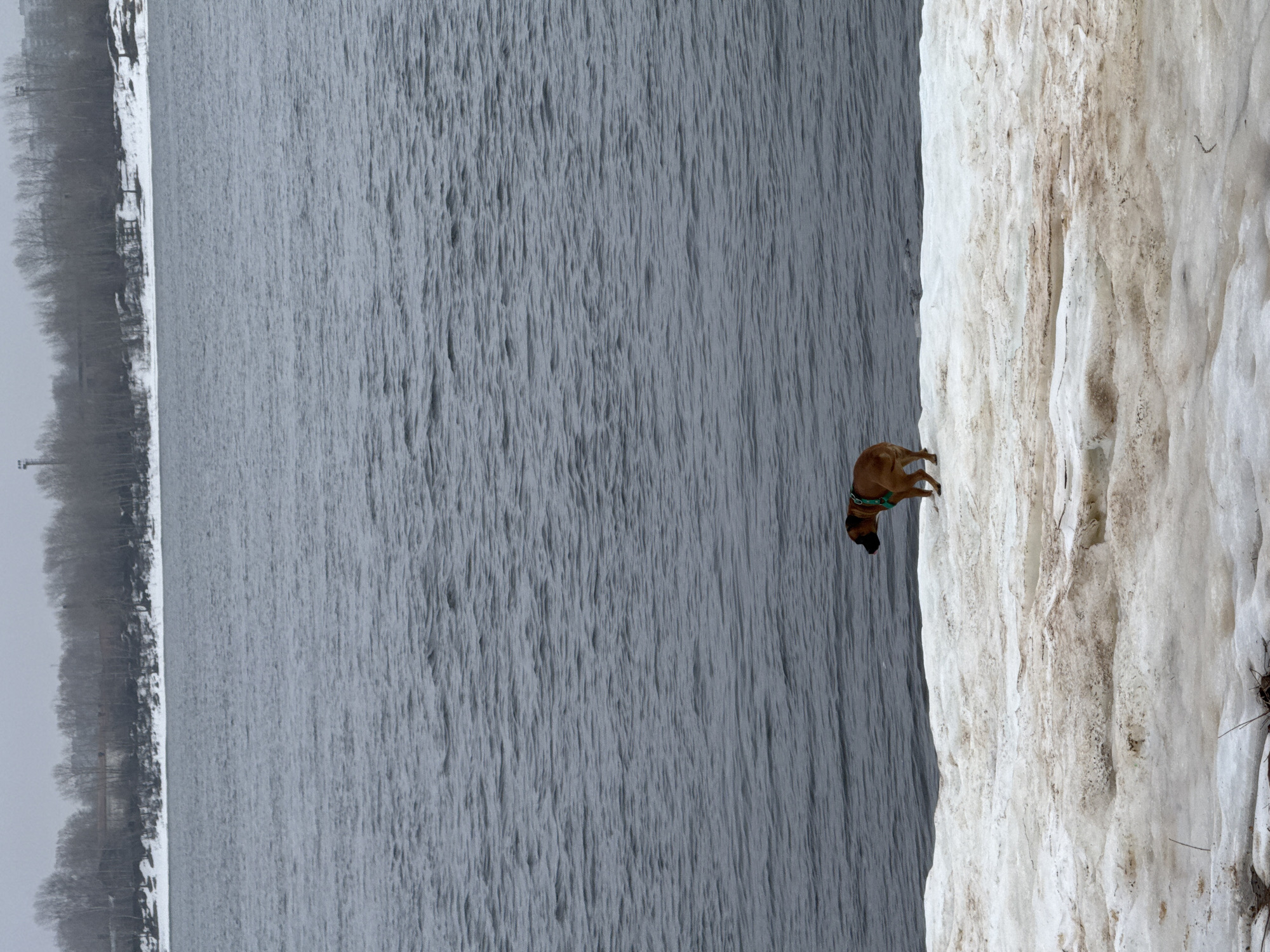 Family fishing trip with dog captured along snowy Russian riverbank