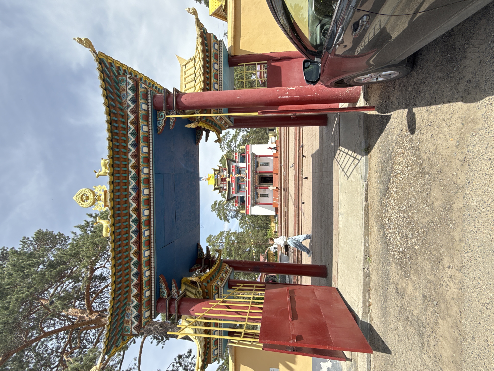 Ornate pagoda with golden tiers observed in pine-framed setting