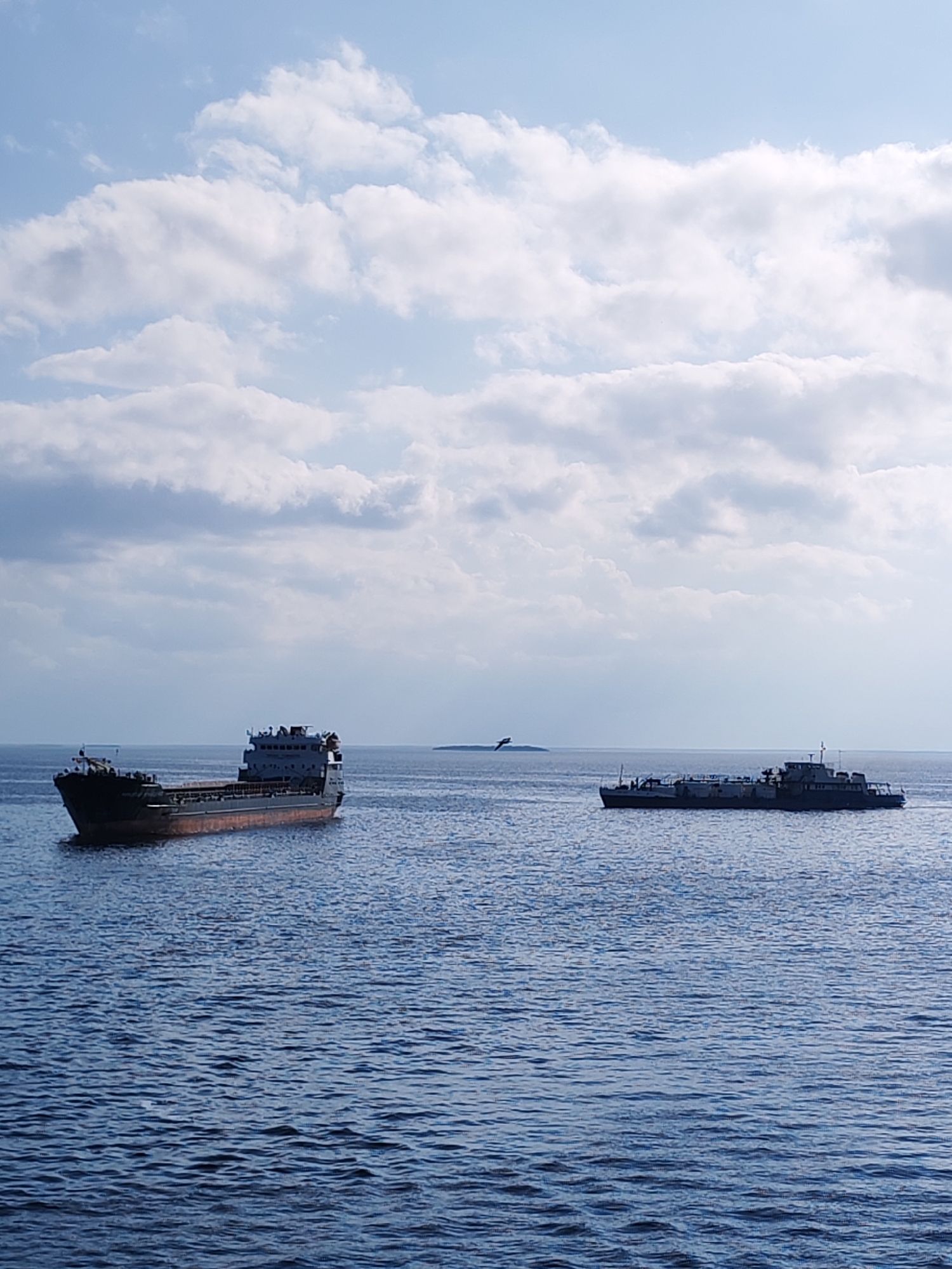 Cargo ships and barge spotted in Russian waters near Mologa