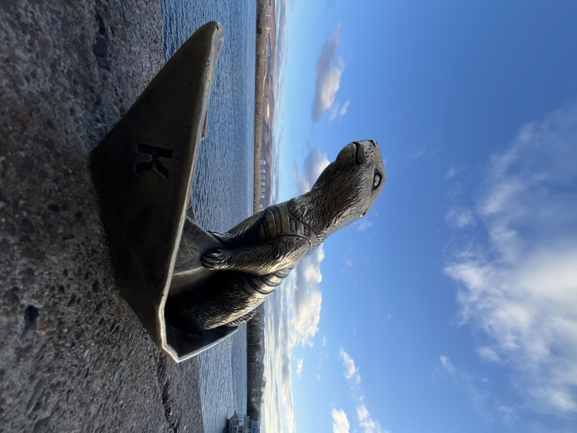 Tourist captures Krasnoyarsk riverfront sculptures and bridge views