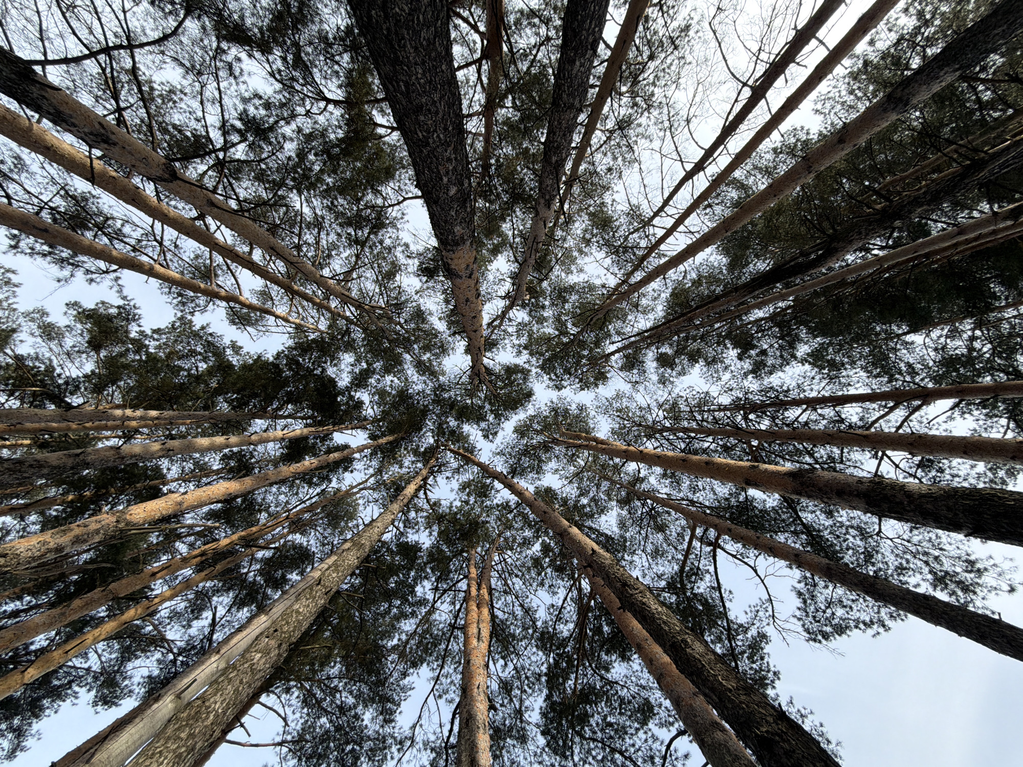Spring thaw documented in Chaikovsky, Russia through reflections and melting
