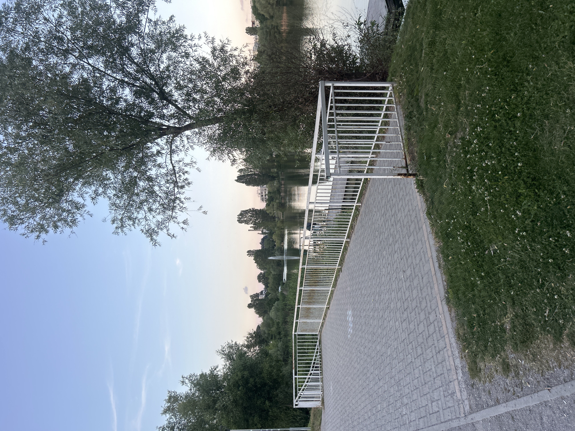 A Sofia evening: park waterfront, kitchen, and a spaniel