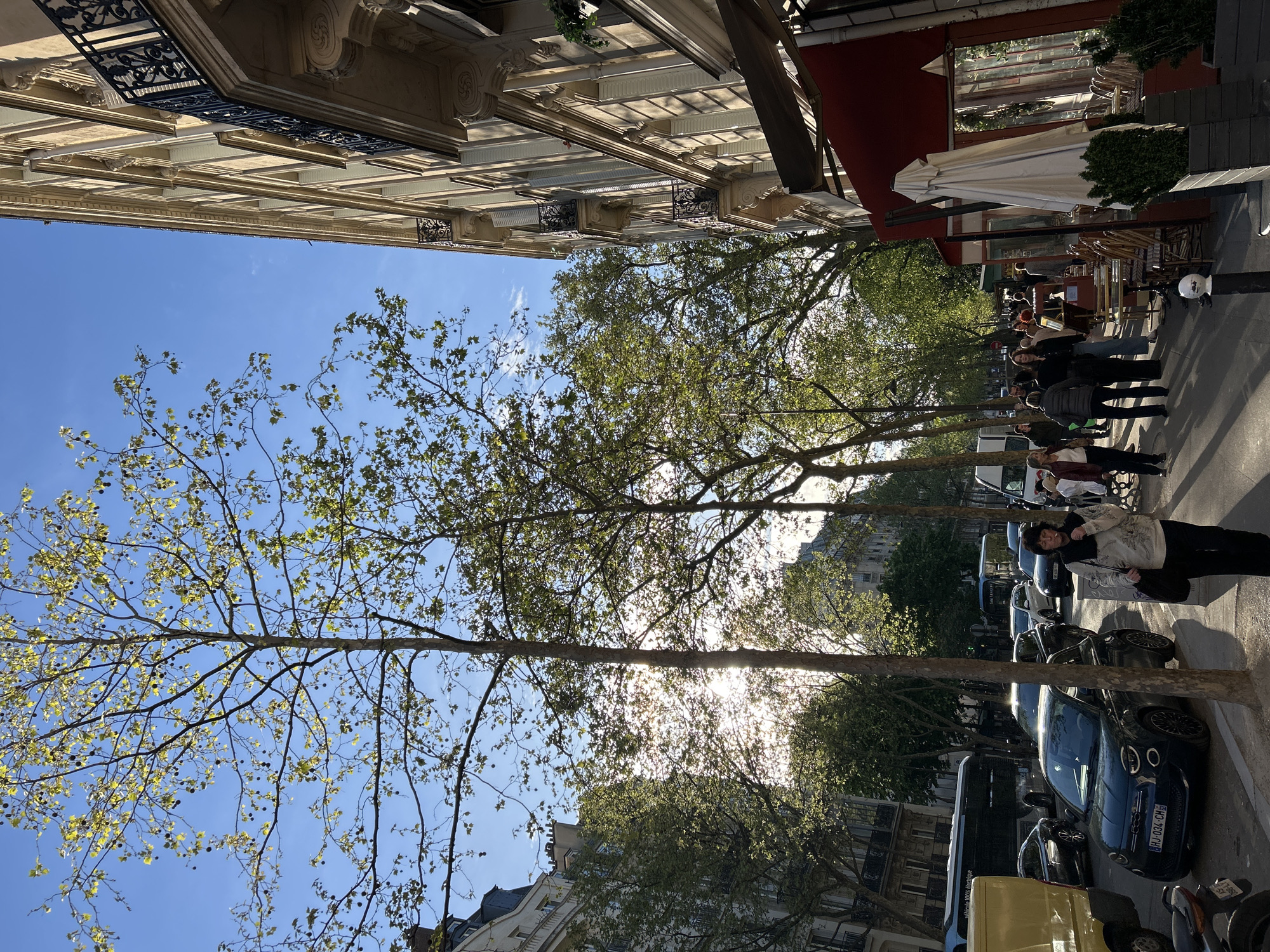 Everyday Paris street life captured in afternoon observations