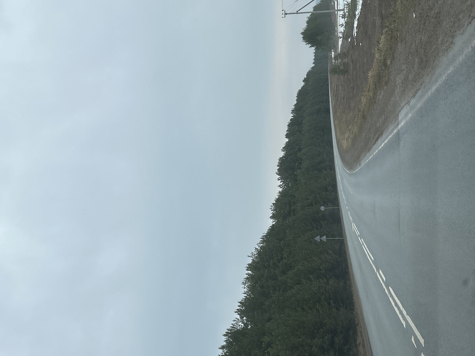Curved road observed through forested area in Foki, Russia