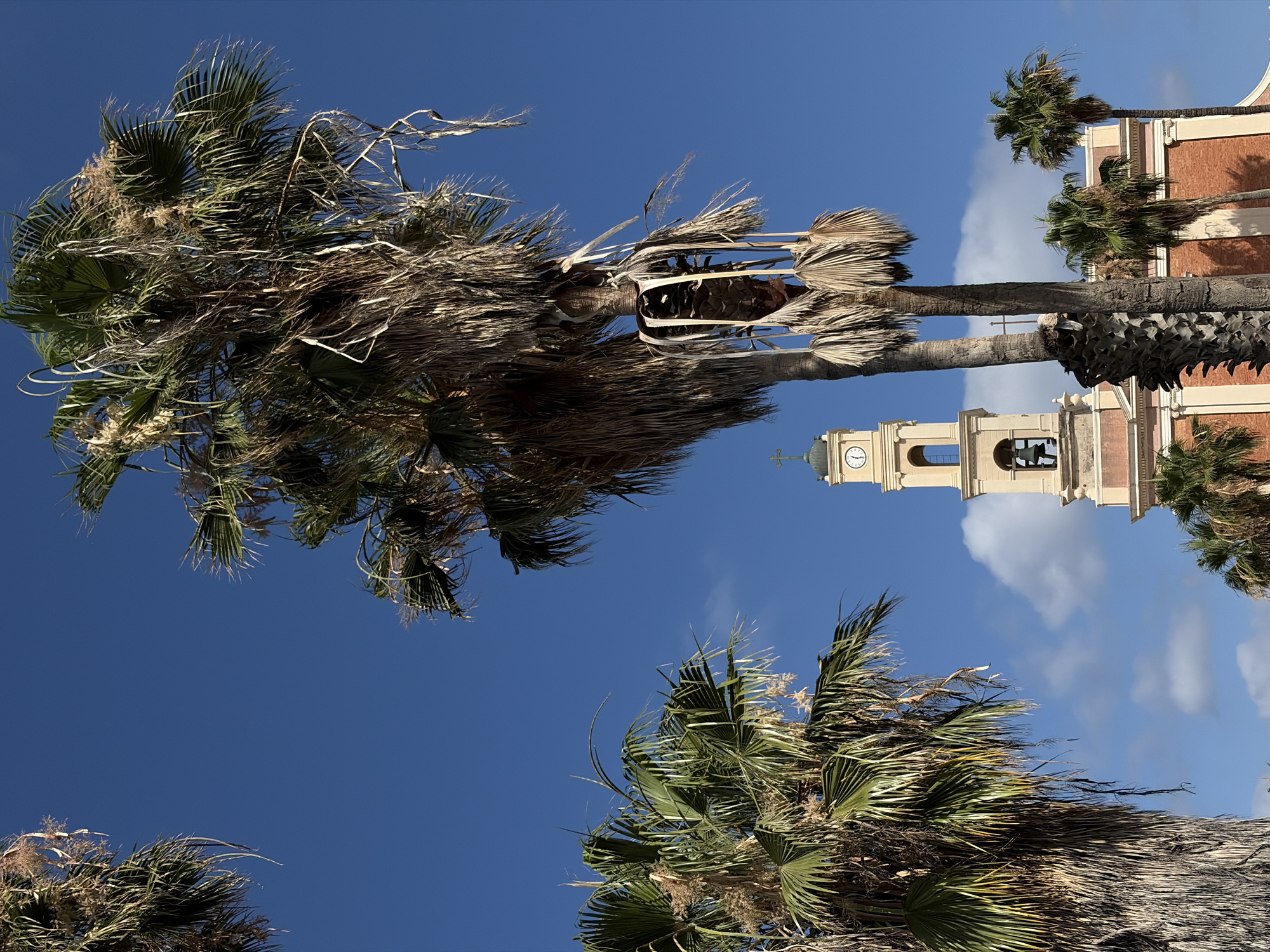 A quiet morning stroll through Jaffa and Tel Aviv