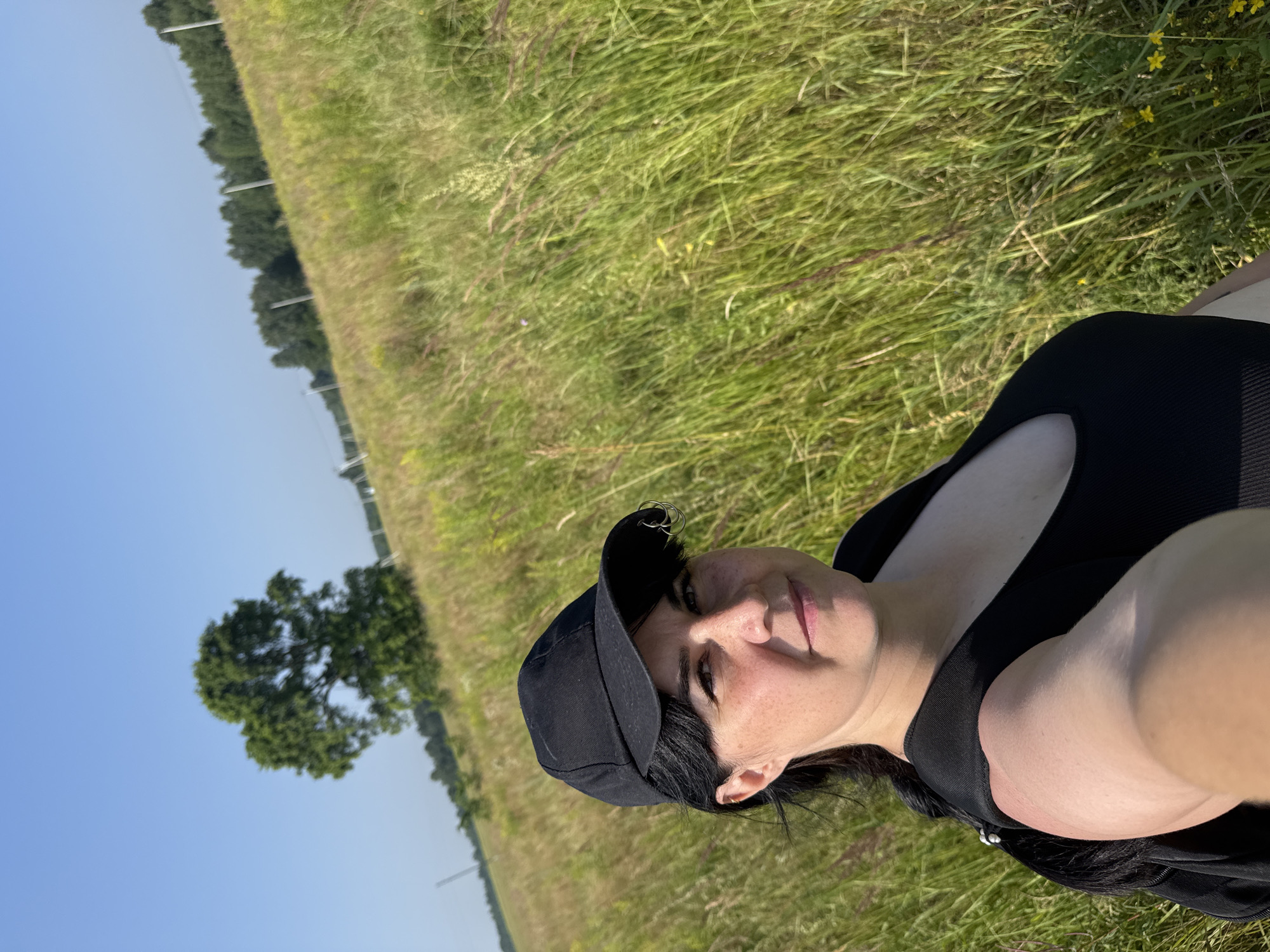 Sunny afternoon in a grassy Izhevsk field with an oak tree