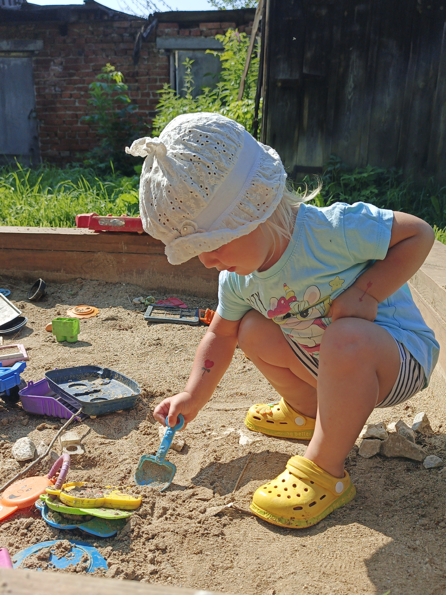 Summer morning in a Russian village: kids, cats, and garden flowers