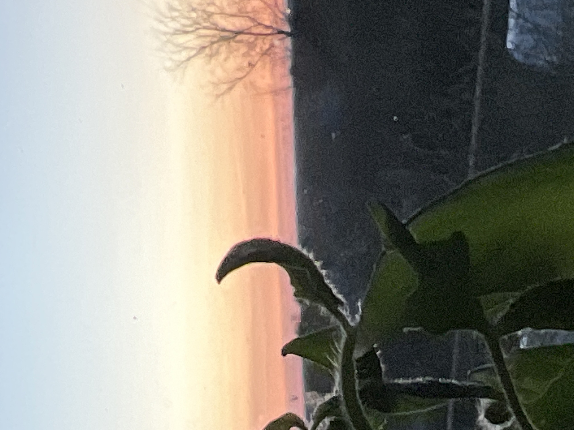 Sunset documented from indoor vantage point in Votkinsk, Russia