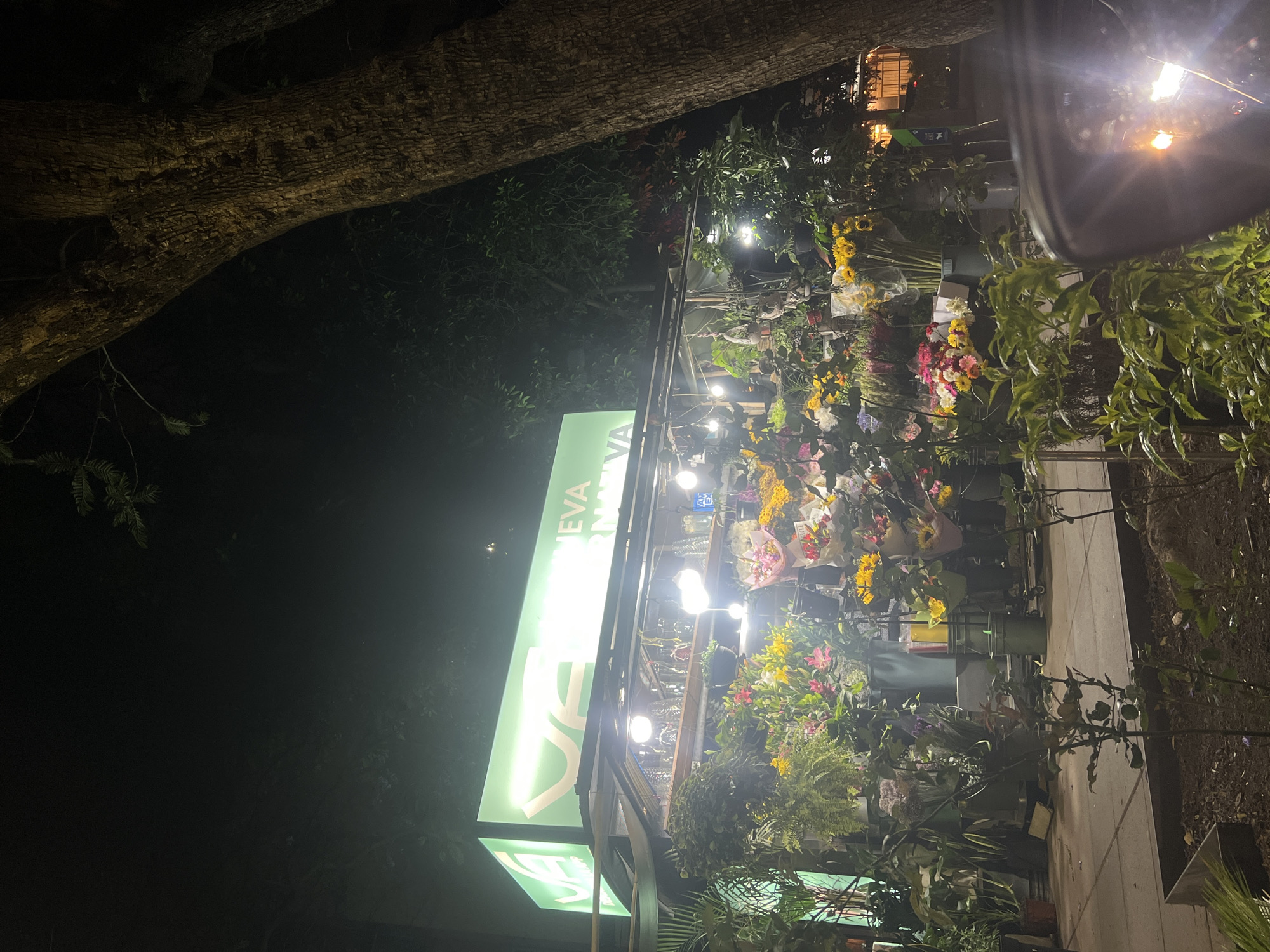 Nighttime florist shop illuminated on Mexico City street