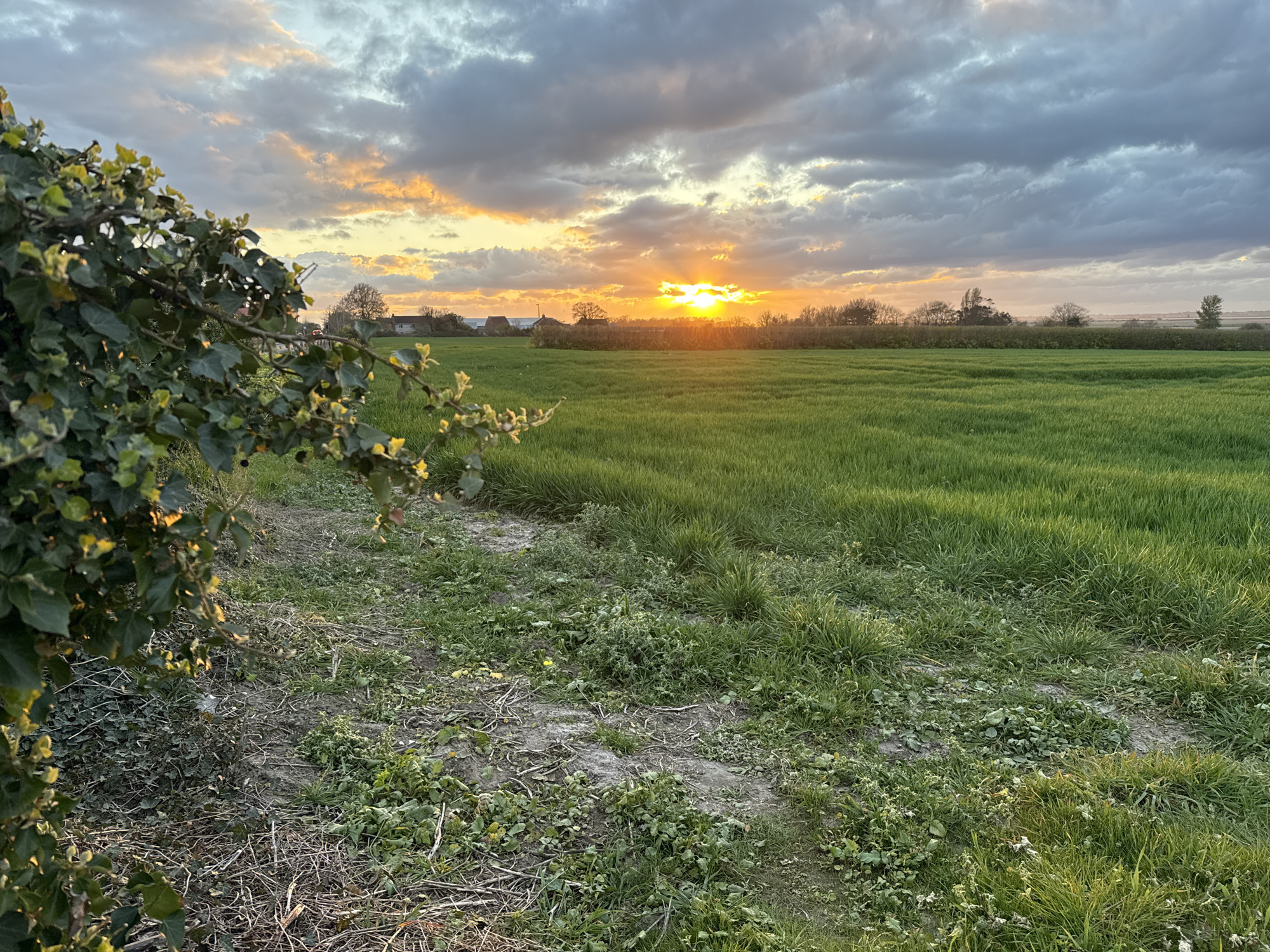 Dramatic sunset captured across rural Gorleston-on-Sea landscapes
