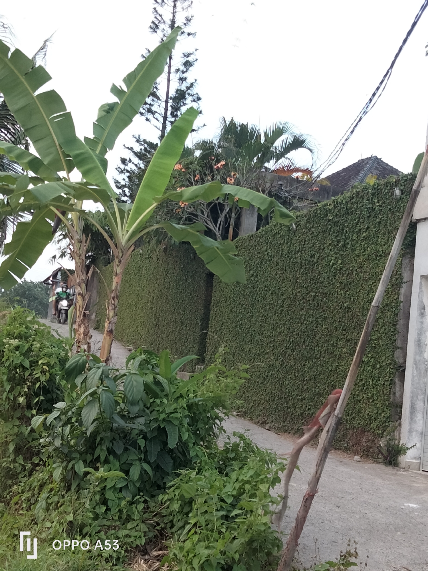 Rice paddies and guesthouses collide in North Kuta's backstreets