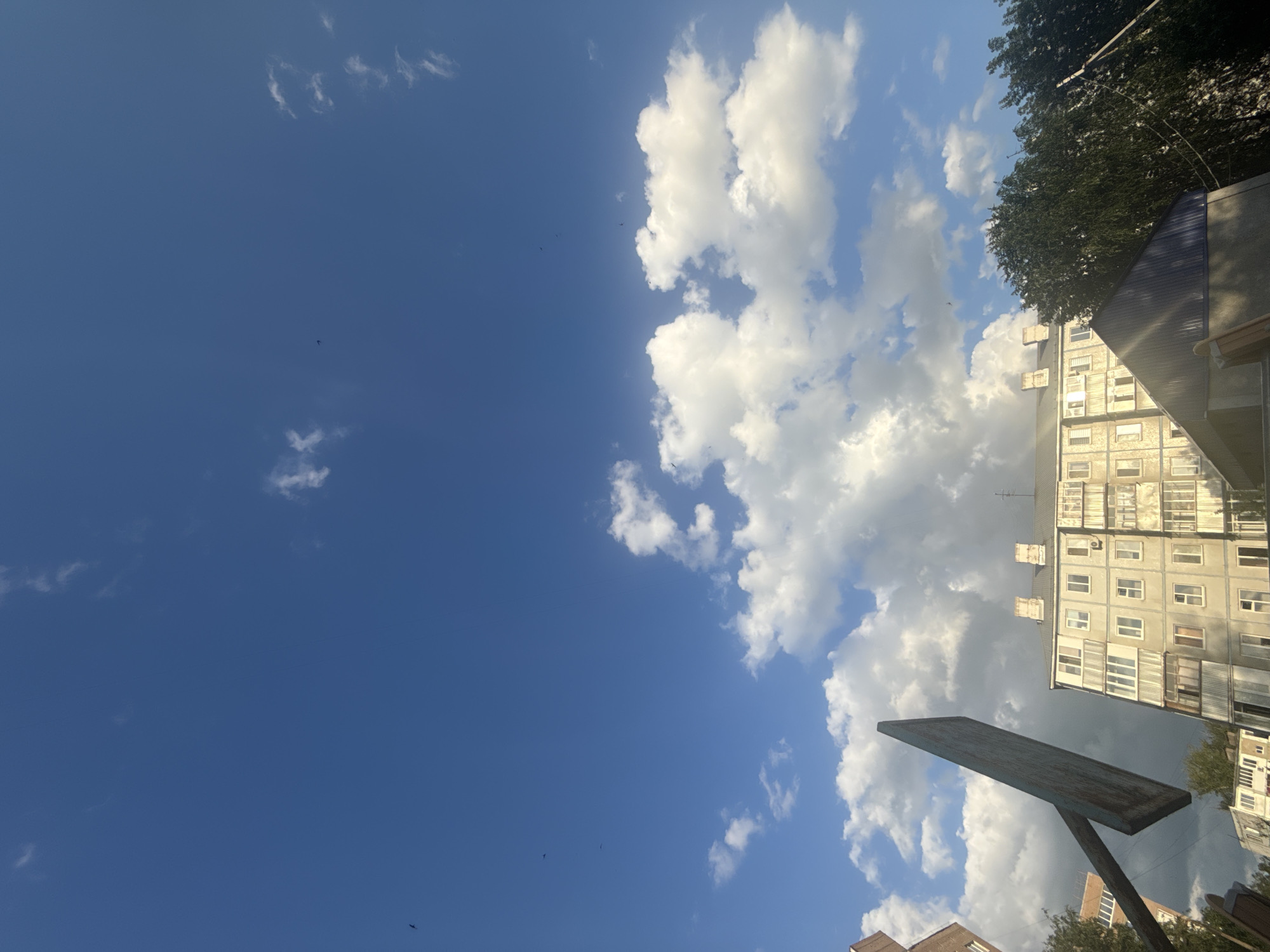 Sunny afternoon stroll through an Orenburg courtyard in bloom