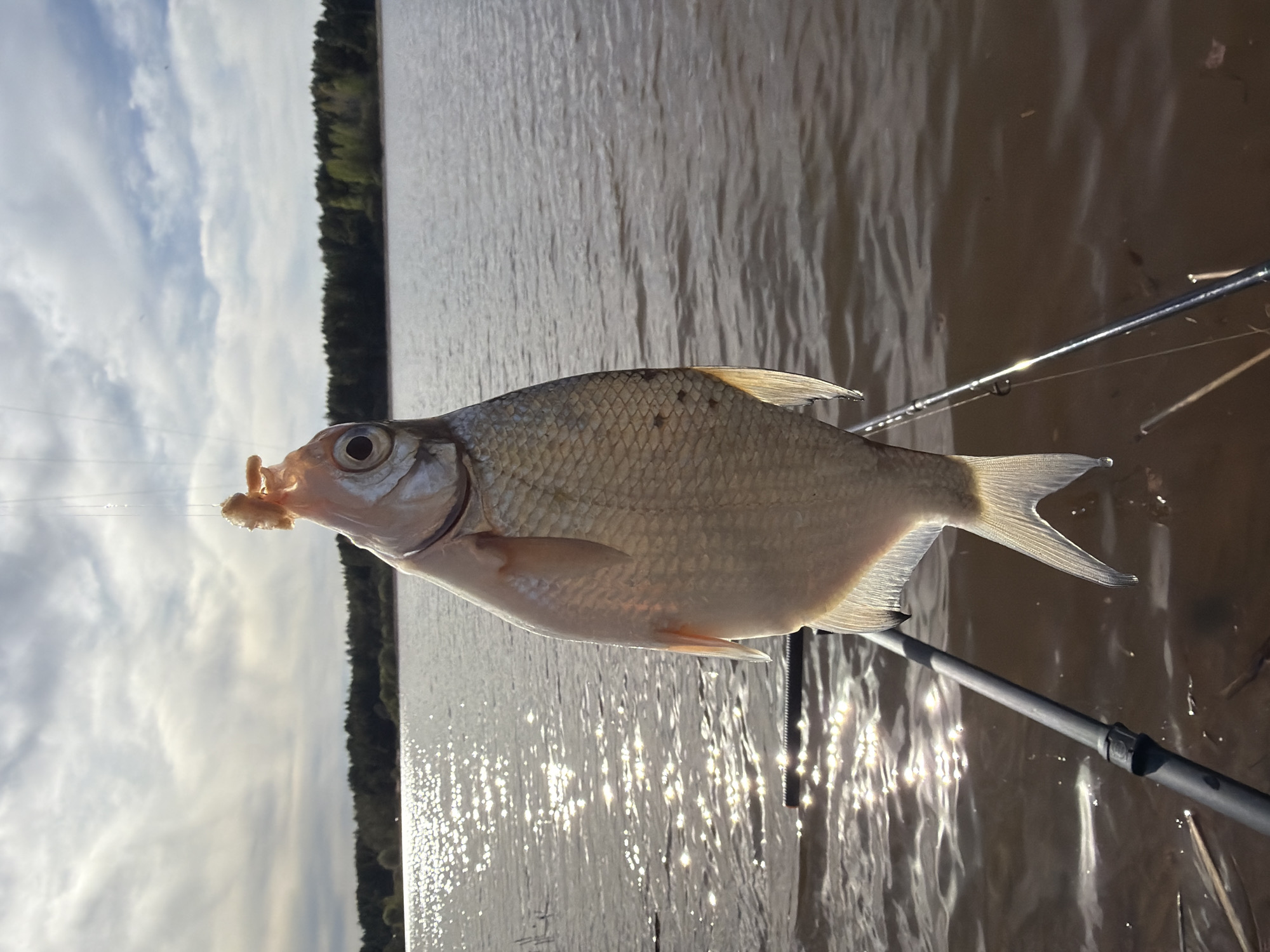 Angler catches fish during lakeside outing in Chaykovsky, Russia