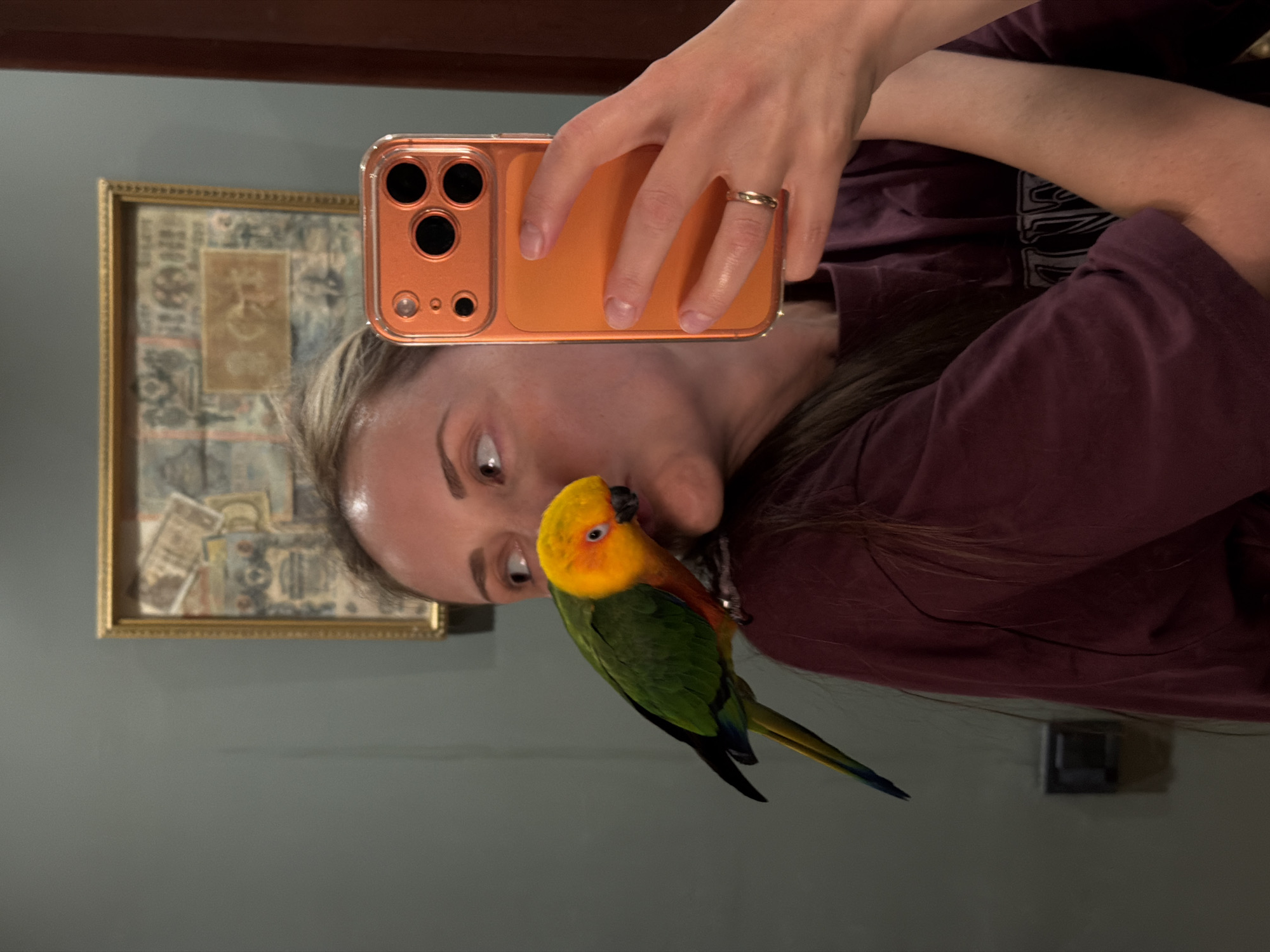 Woman documents playtime with pet sun conure in Khimki