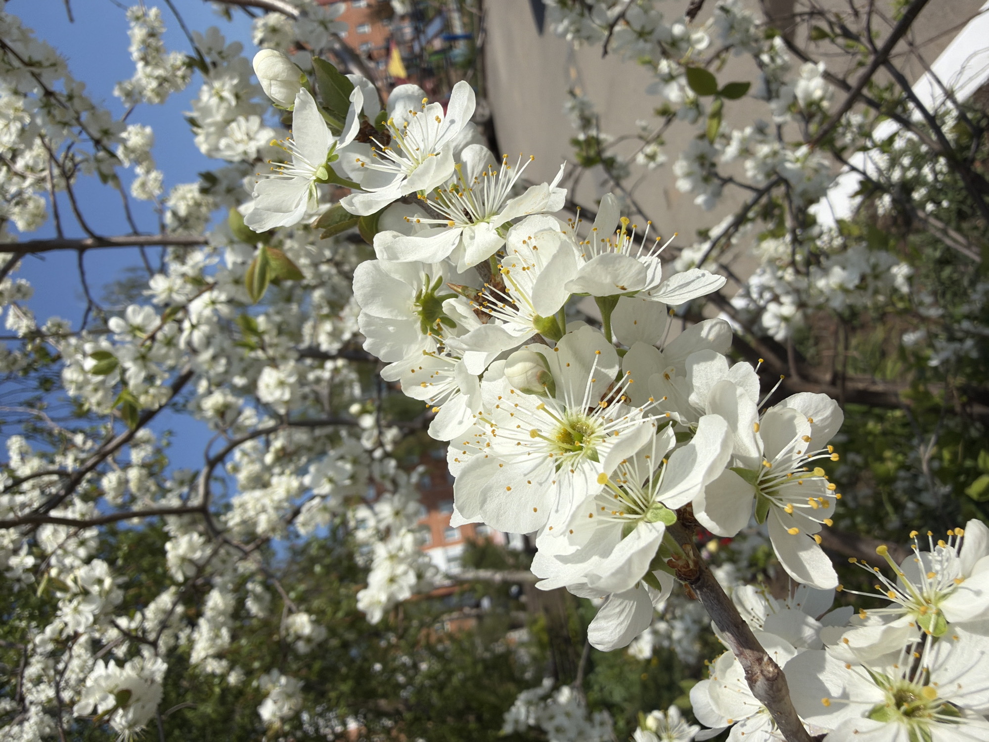 Spring day documented across Votkinsk, Russia in 22 memories