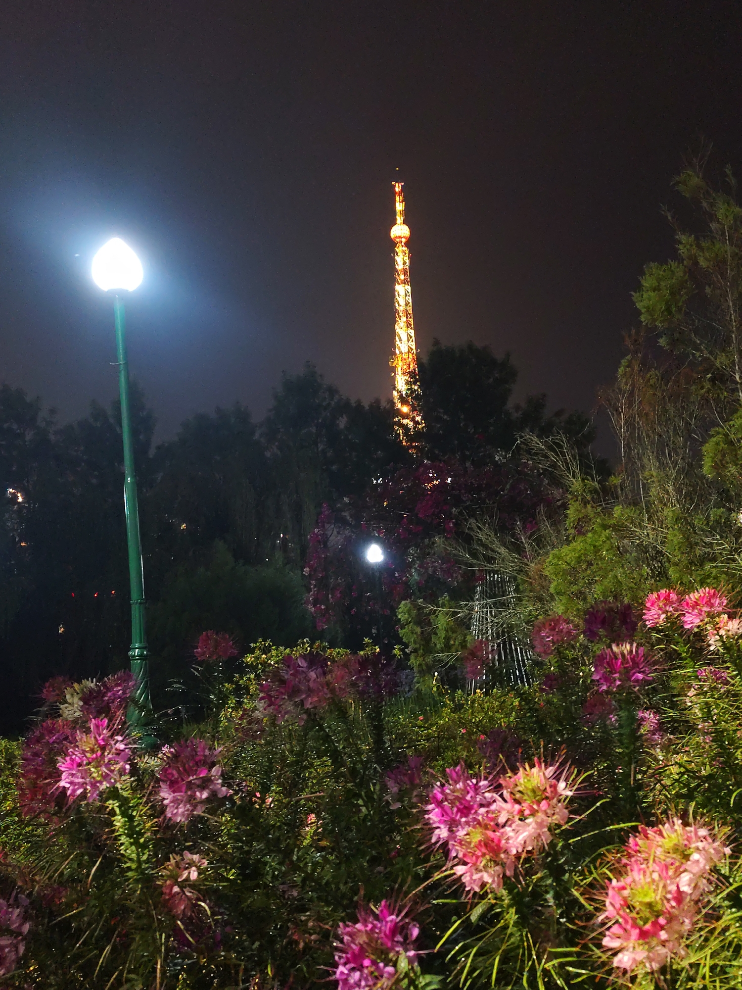 Nighttime garden walk documented in Da Lat, Vietnam parks