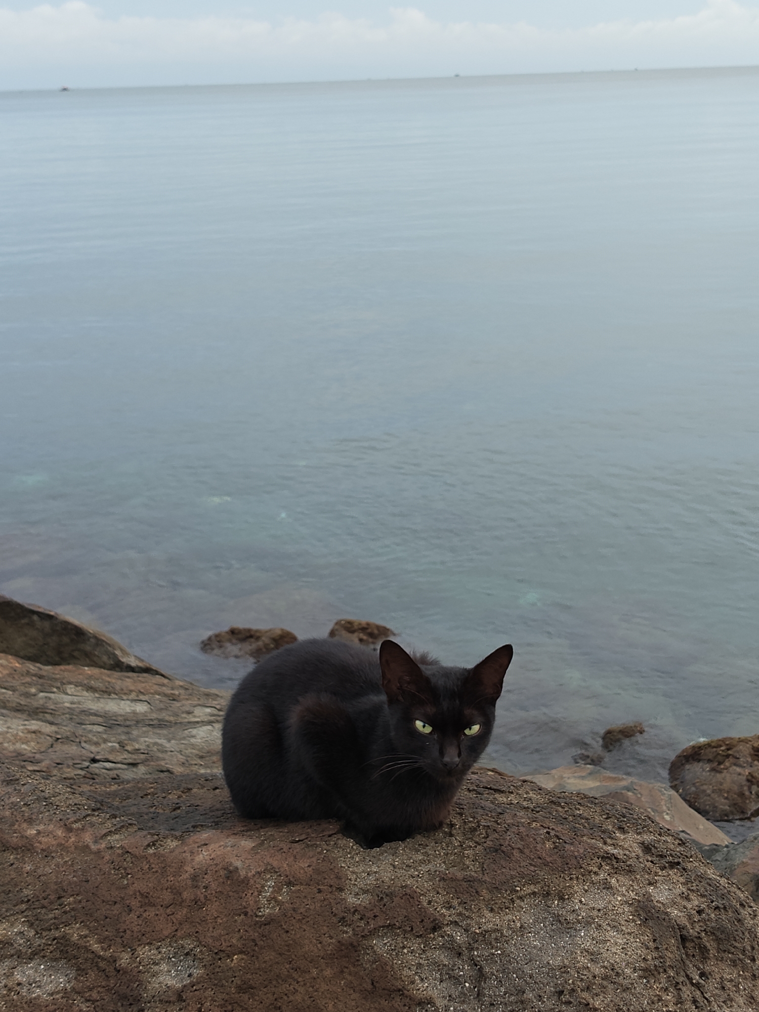 Quiet evening moments captured at Lhokseumawe coastal shoreline