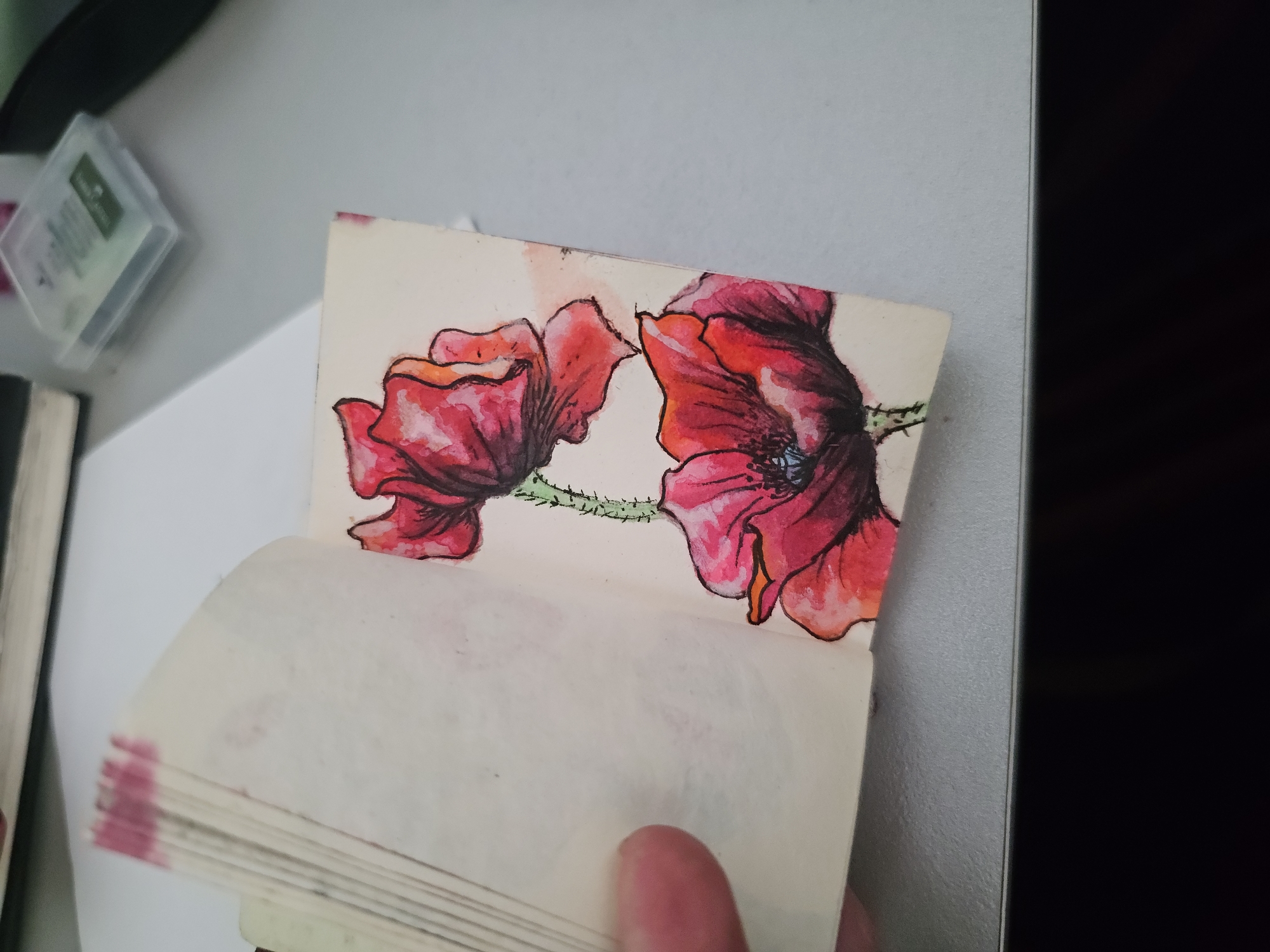 Watercolor poppies painted in a sketchbook, close up