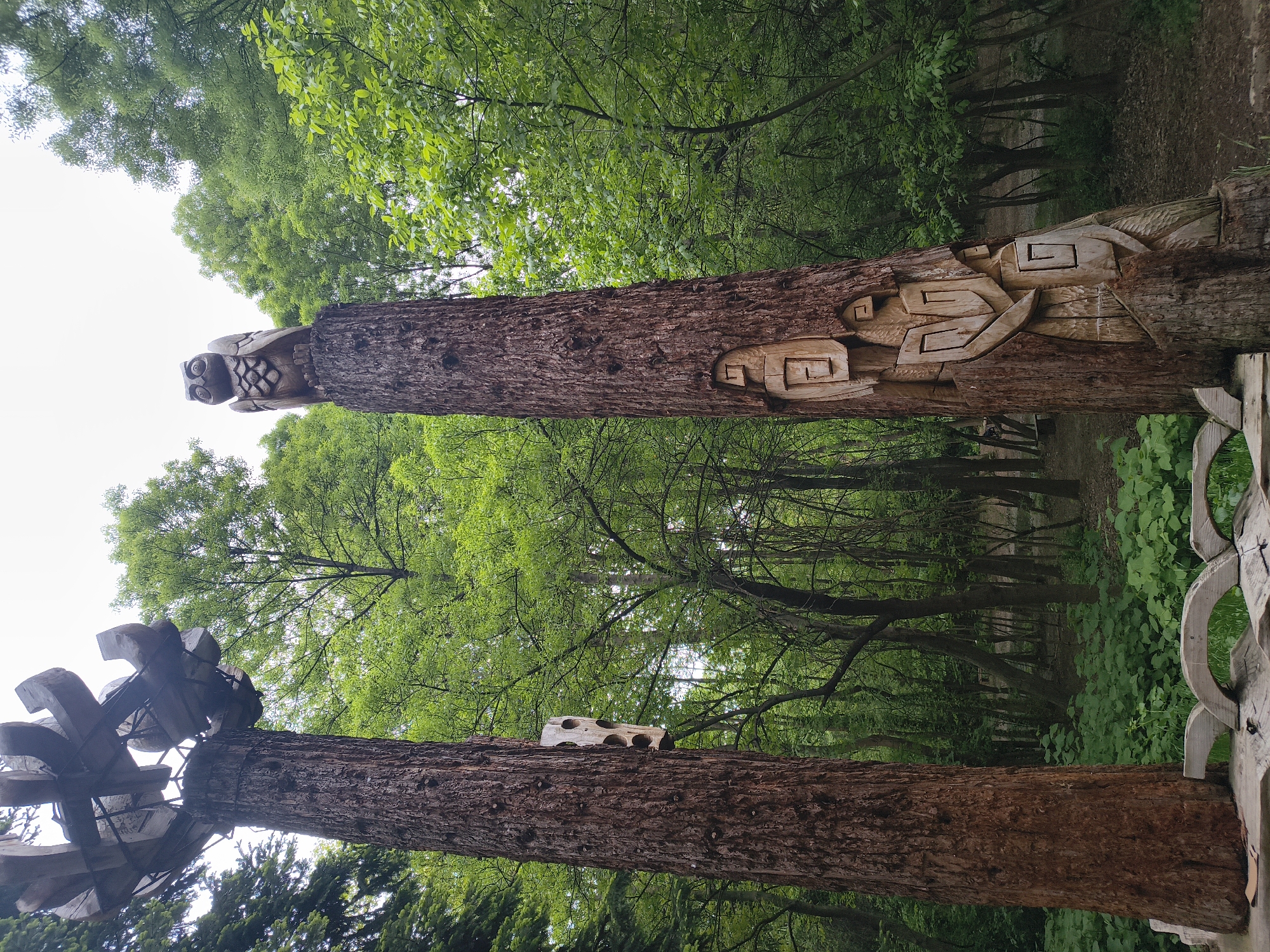 Urban scenes and woodland carvings documented in afternoon observations