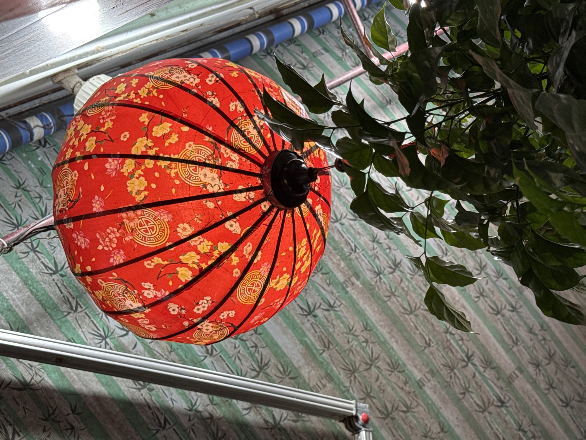 Tourist activities and local scenes documented in Hội An