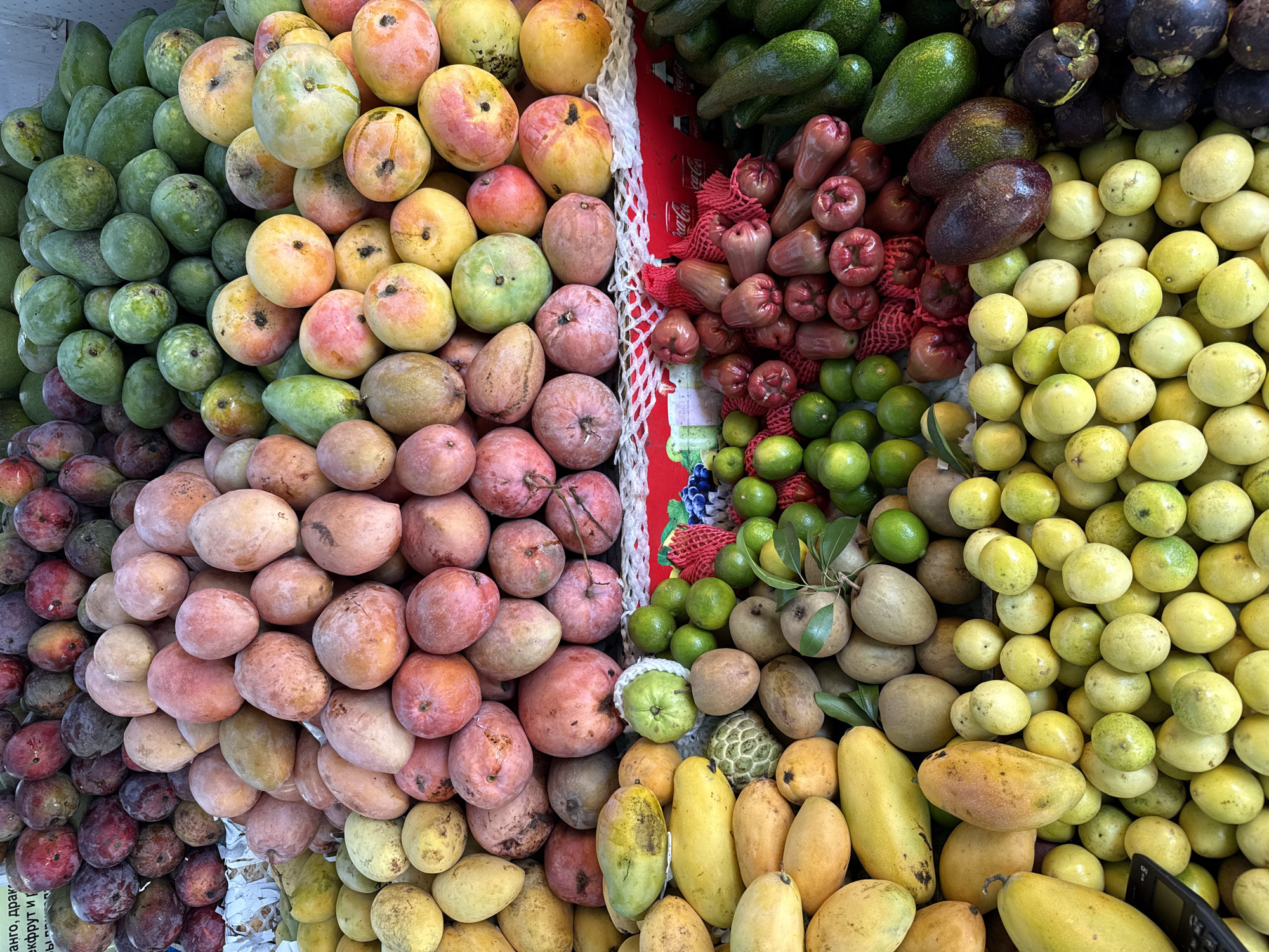 Street scenes and market life in Nha Trang on a sunny morning